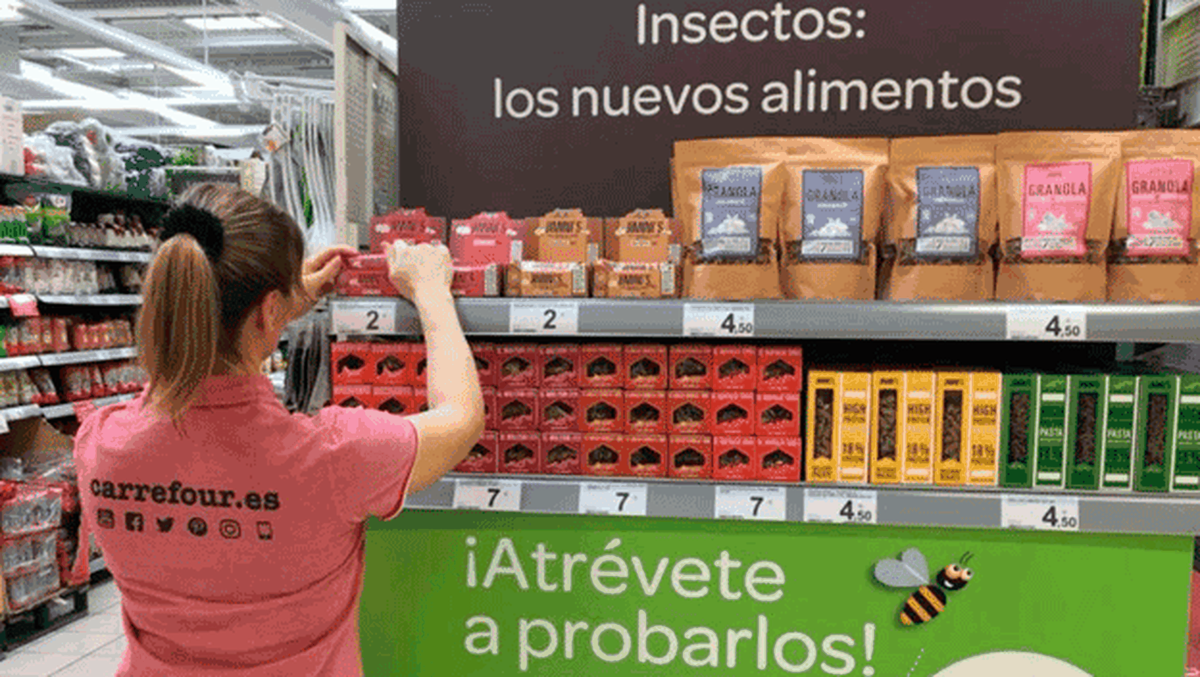 Dónde comprar para comer insectos en España