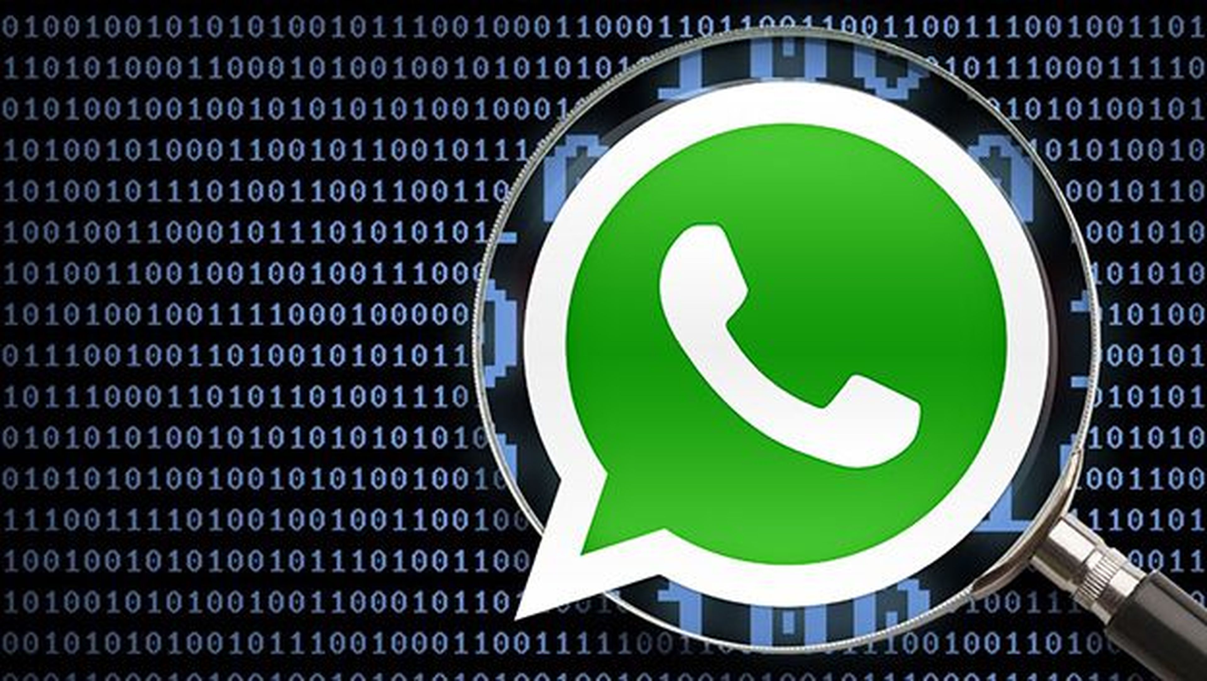 Cómo descargar el informe de datos de WhatsApp