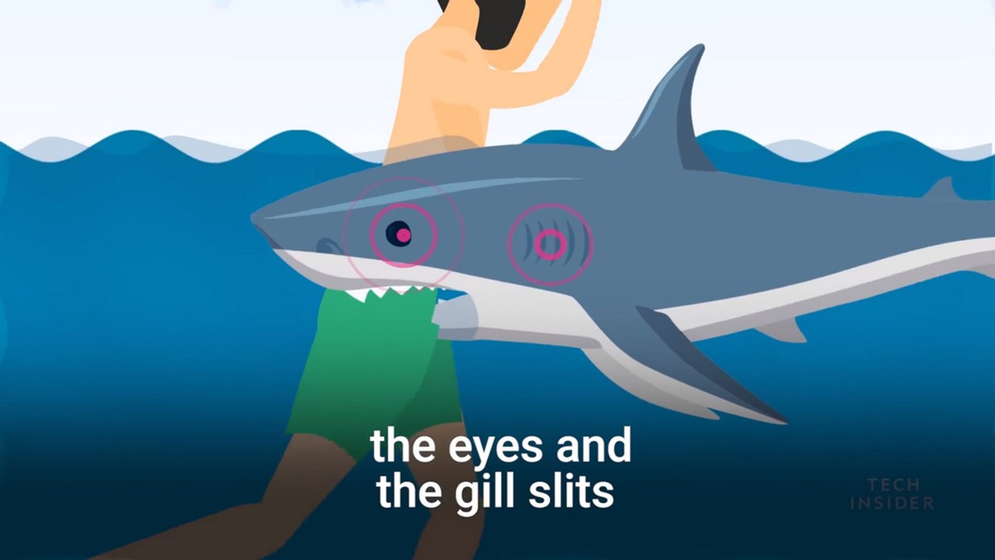 Cómo sobrevivir al ataque de un tiburón