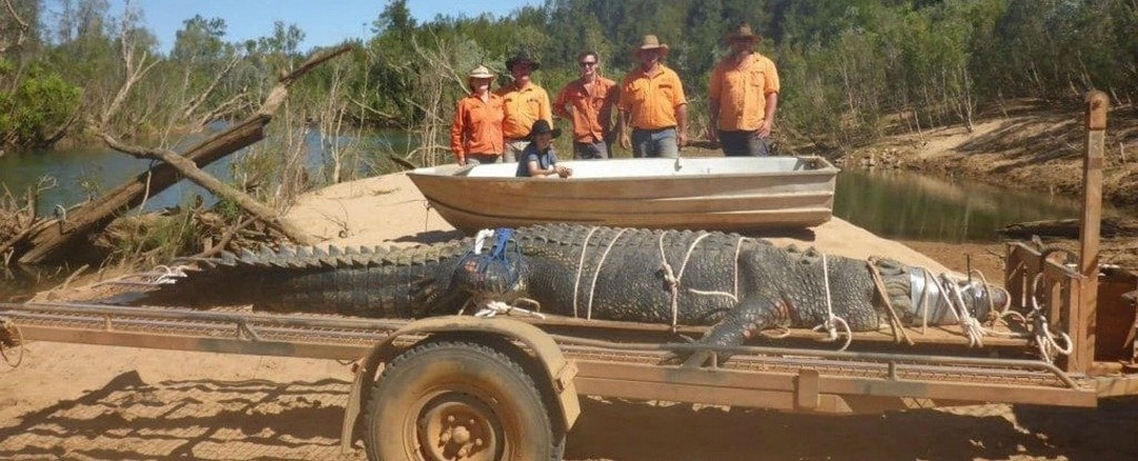 Tras 10 años de persecución, capturan un cocodrilo gigante en Australia