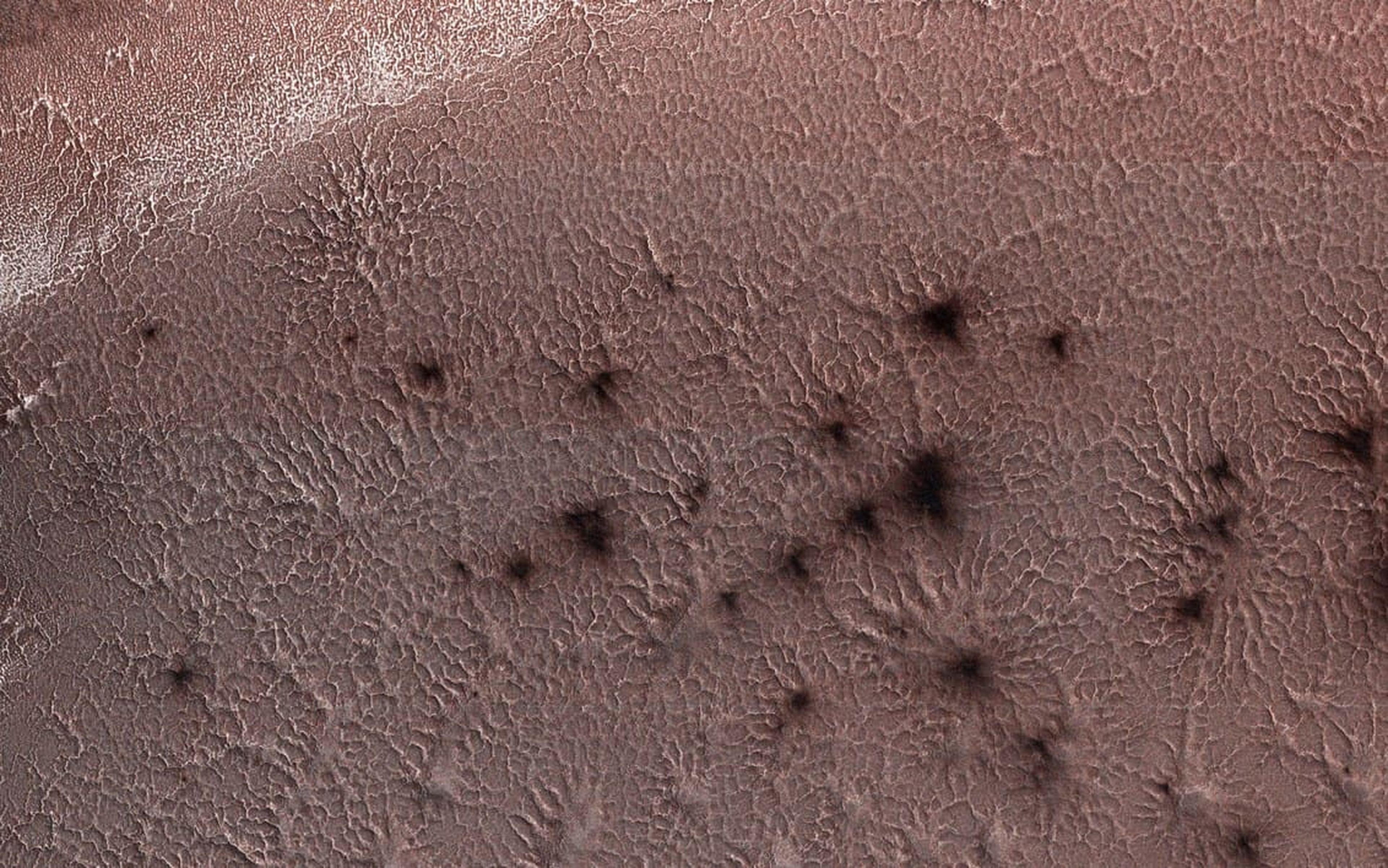 Araña de Marte