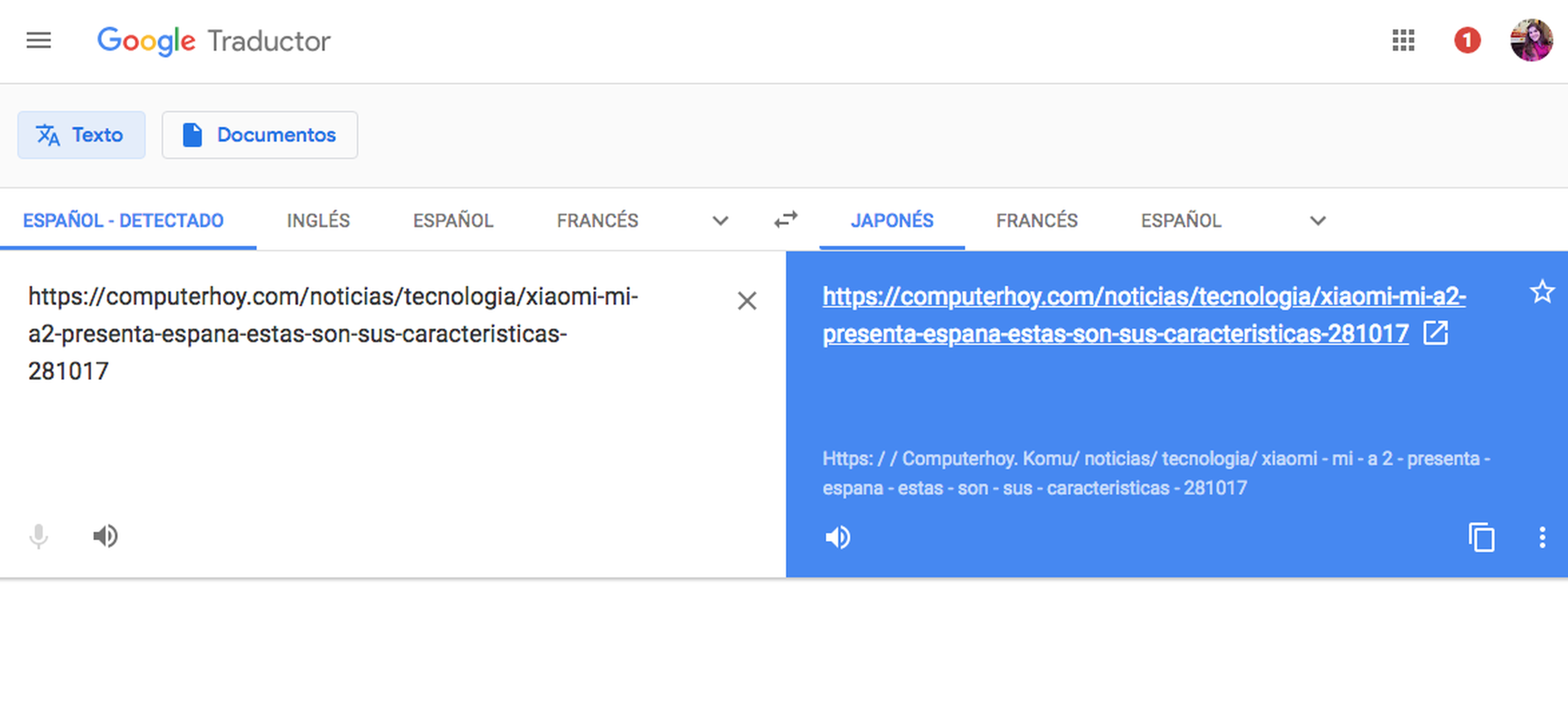 Captura Google Traductor