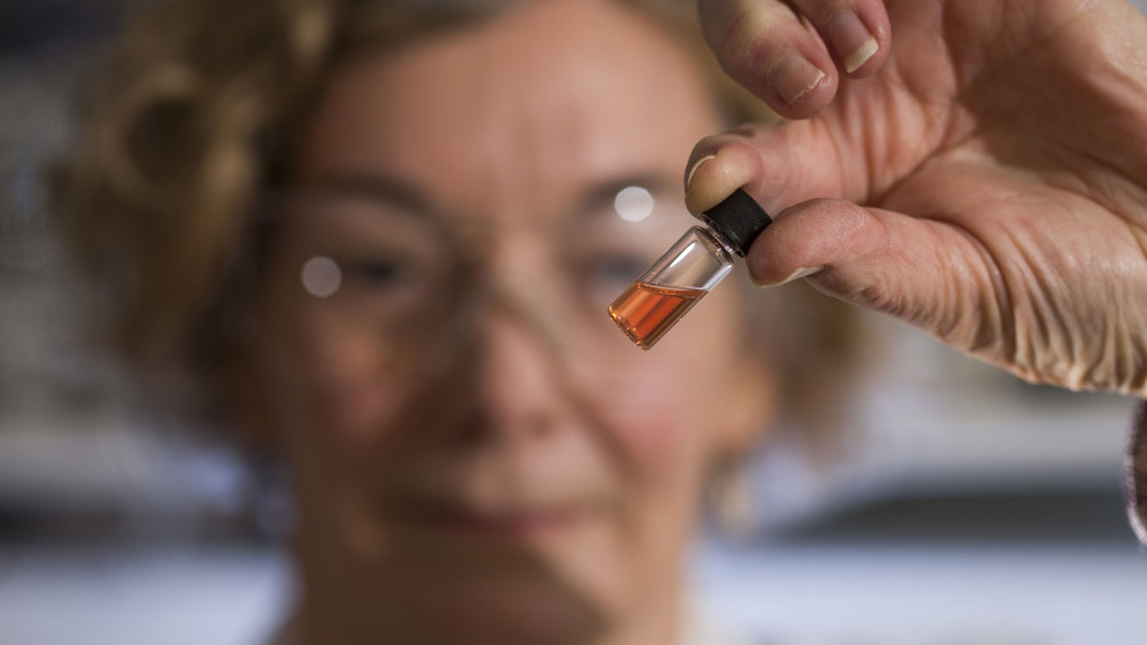 Científicos australianos descubren el color más antiguo del mundo
