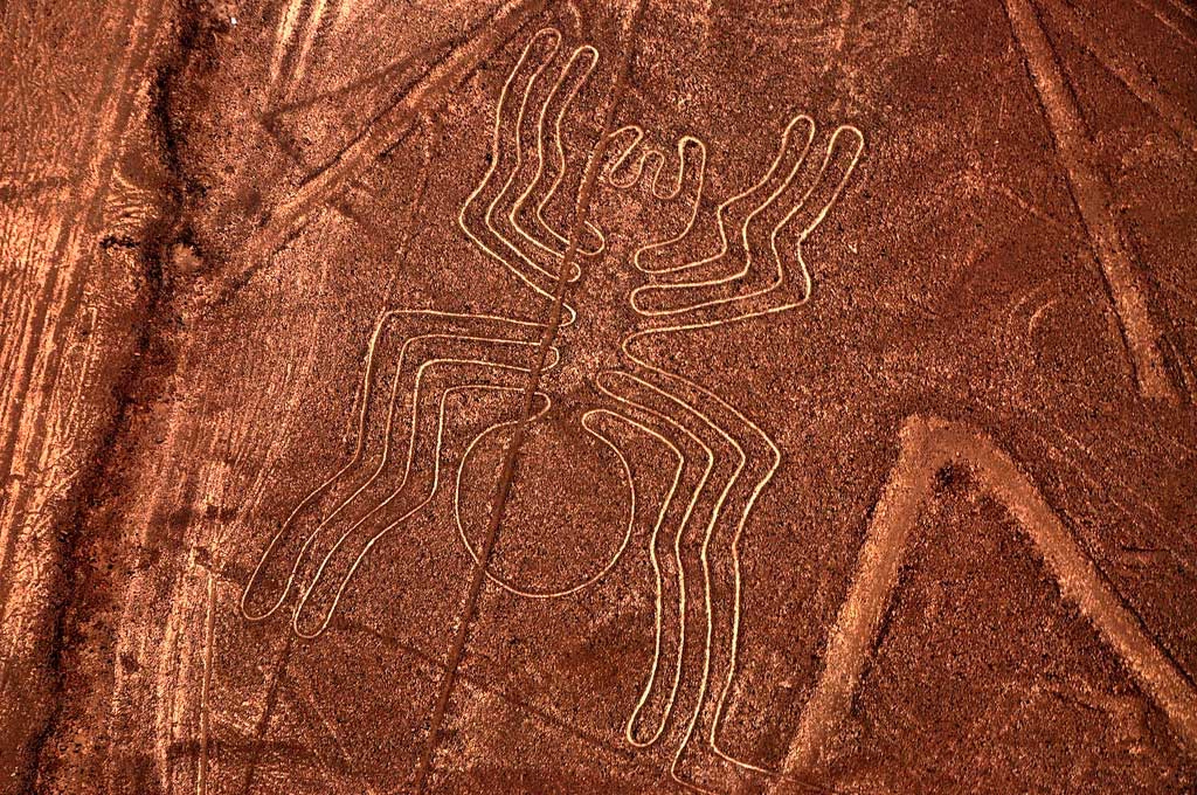 araña líneas de nazca