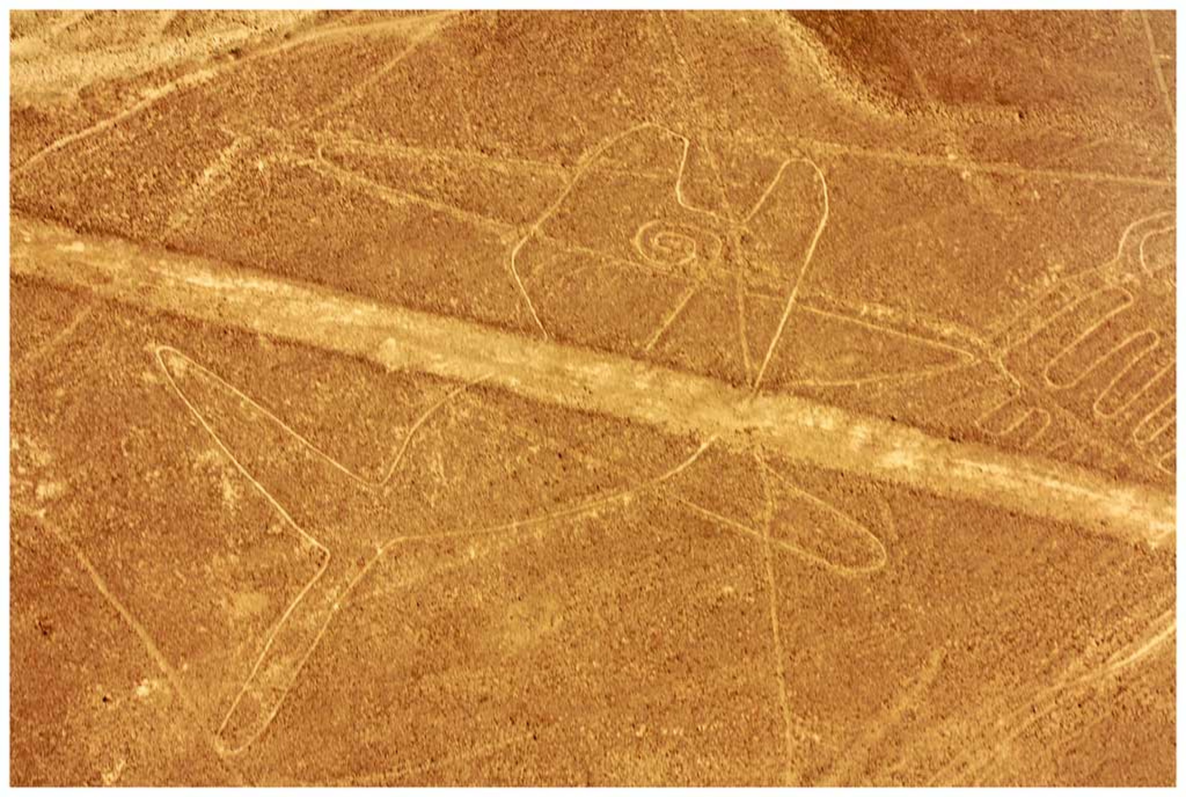 ballena líneas de nazca