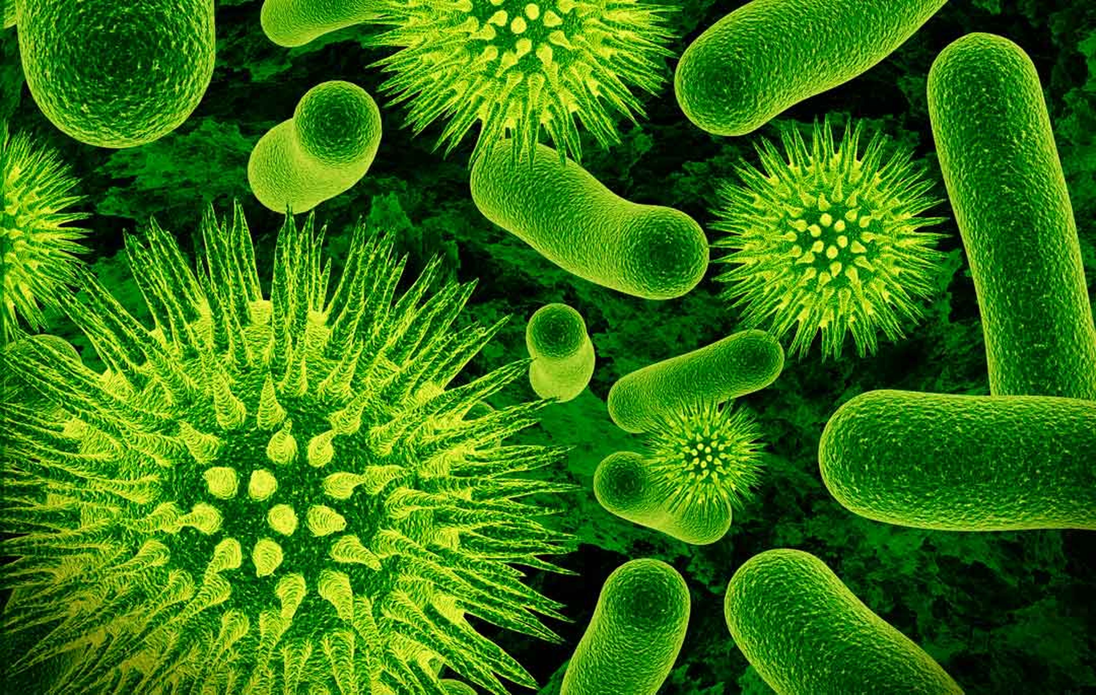 Esta bacteria se ha vuelto resistente a los hospitales