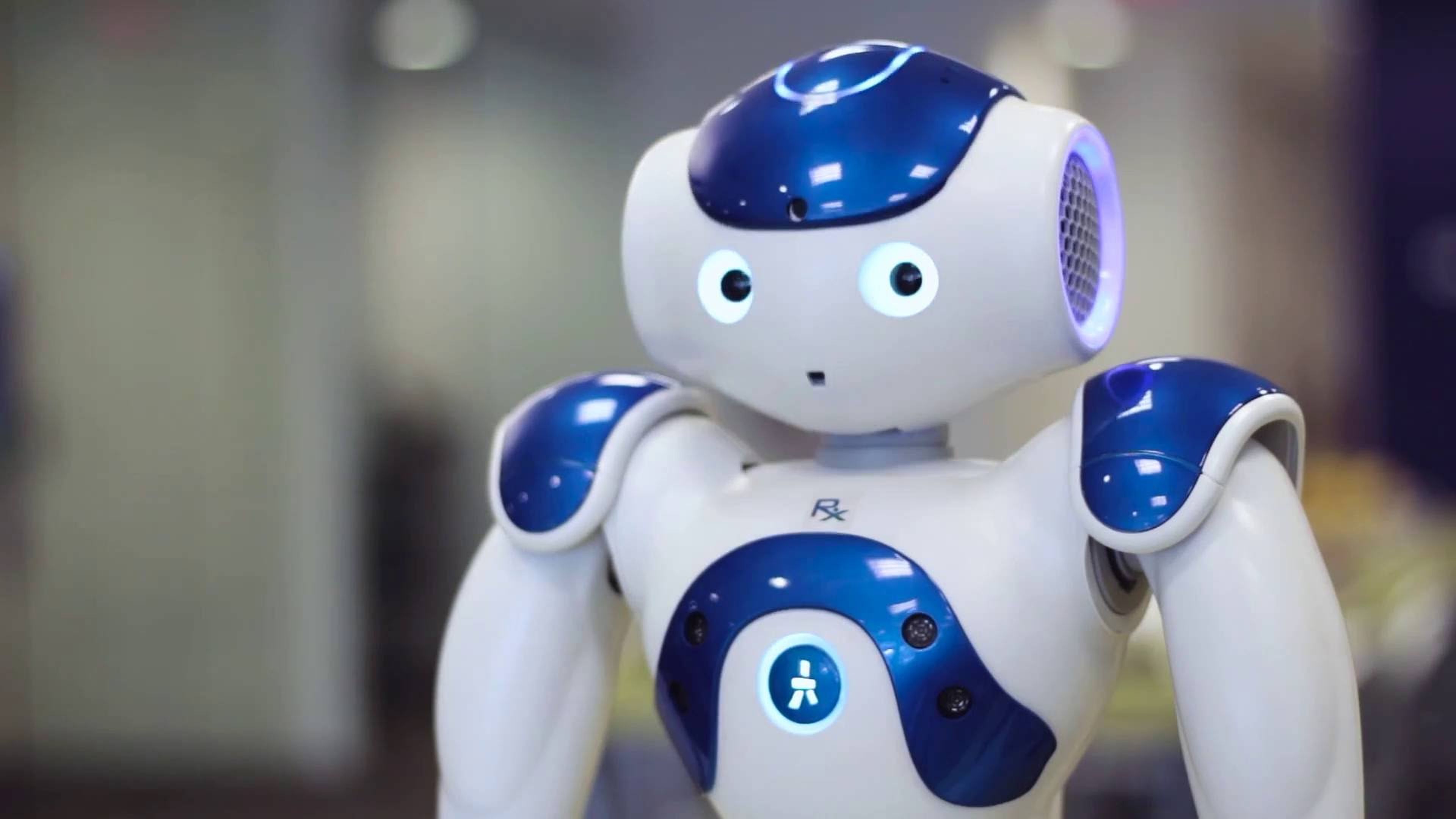 Робот бадя. Робот. Социальные роботы. Социальный робот робот. Робот удивлен.