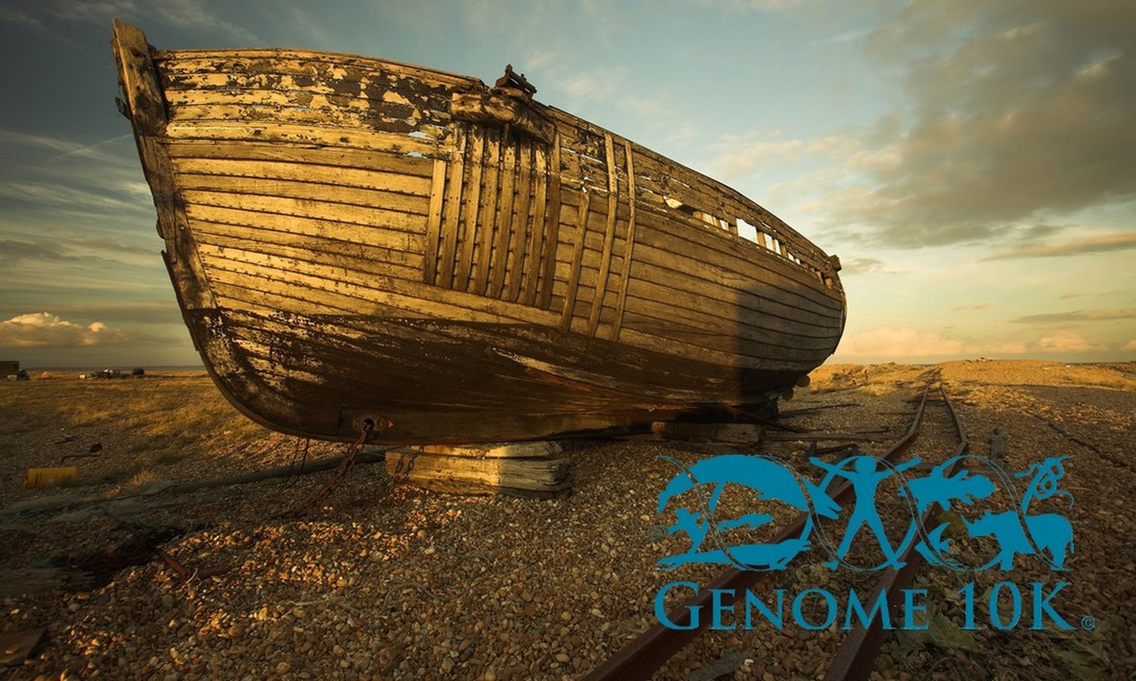 Un Arca de Noé digital guardará el genoma de las 66.000 especies de vertebrados
