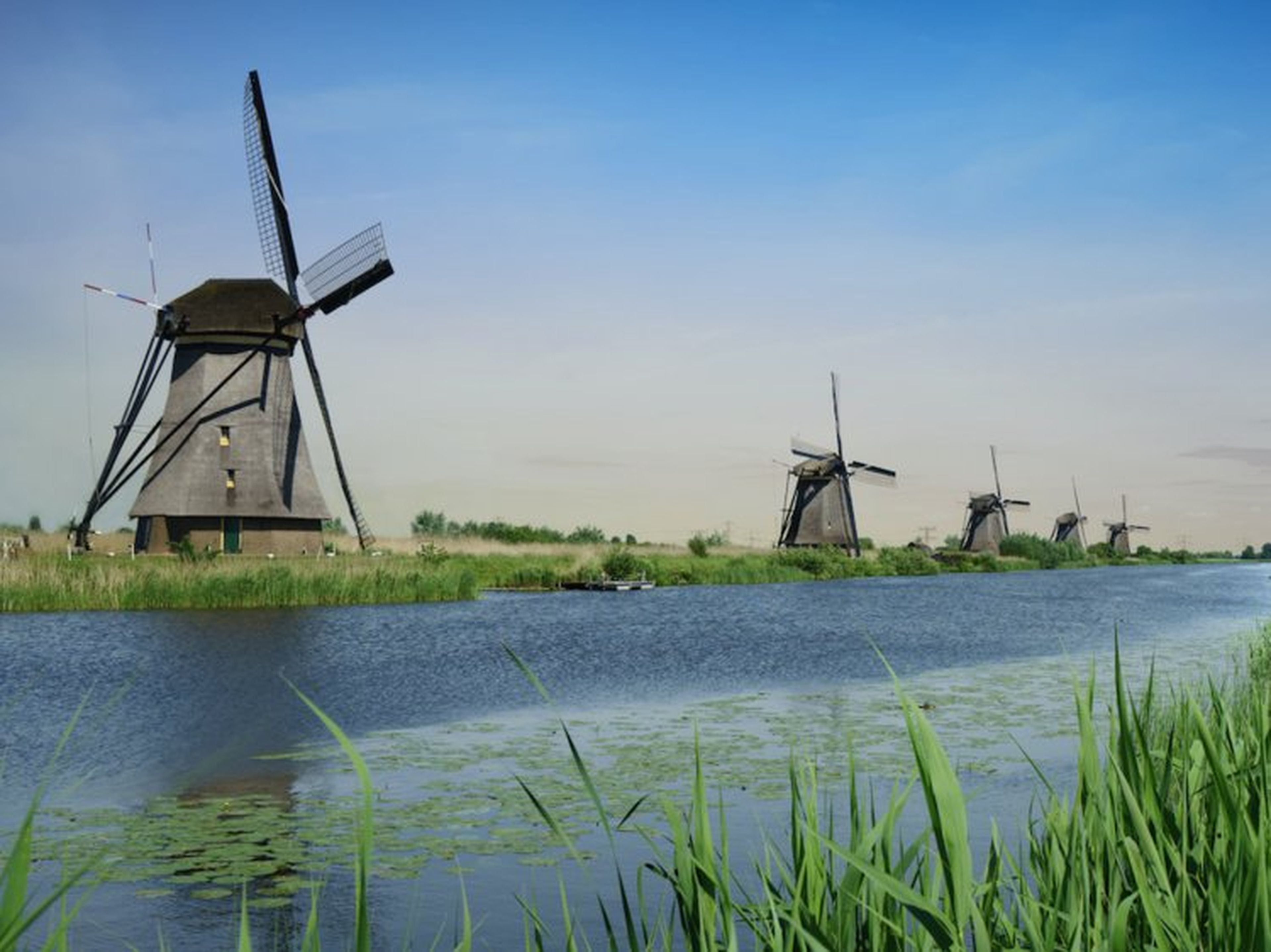 Mientras que el idioma de enseñanza en los Países Bajos es holandés, cada vez más escuelas y universidades enseñan en inglés.