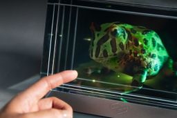 La pantalla holográfica inspirada en Star Wars que puedes comprar (si tienes 10.000$)