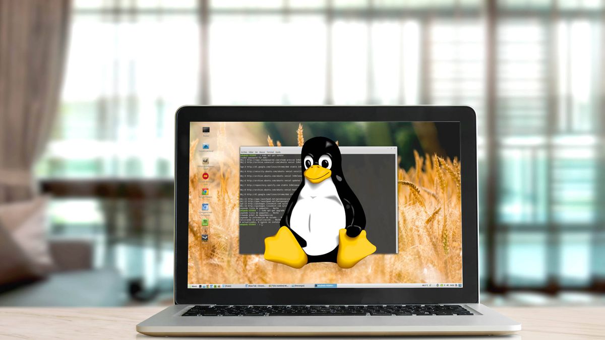 Qué es Linux: ventajas diferencias con Windows y mejores distribuciones