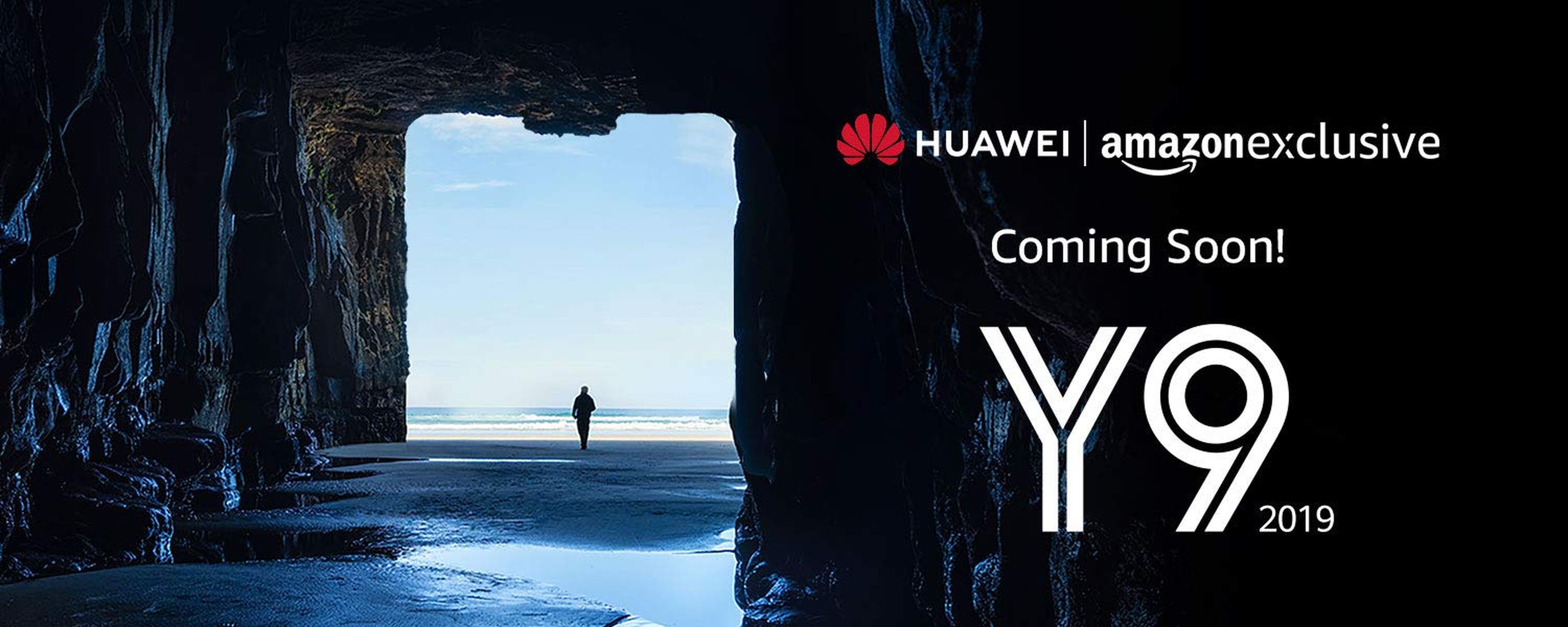 Huawei Y9 2019