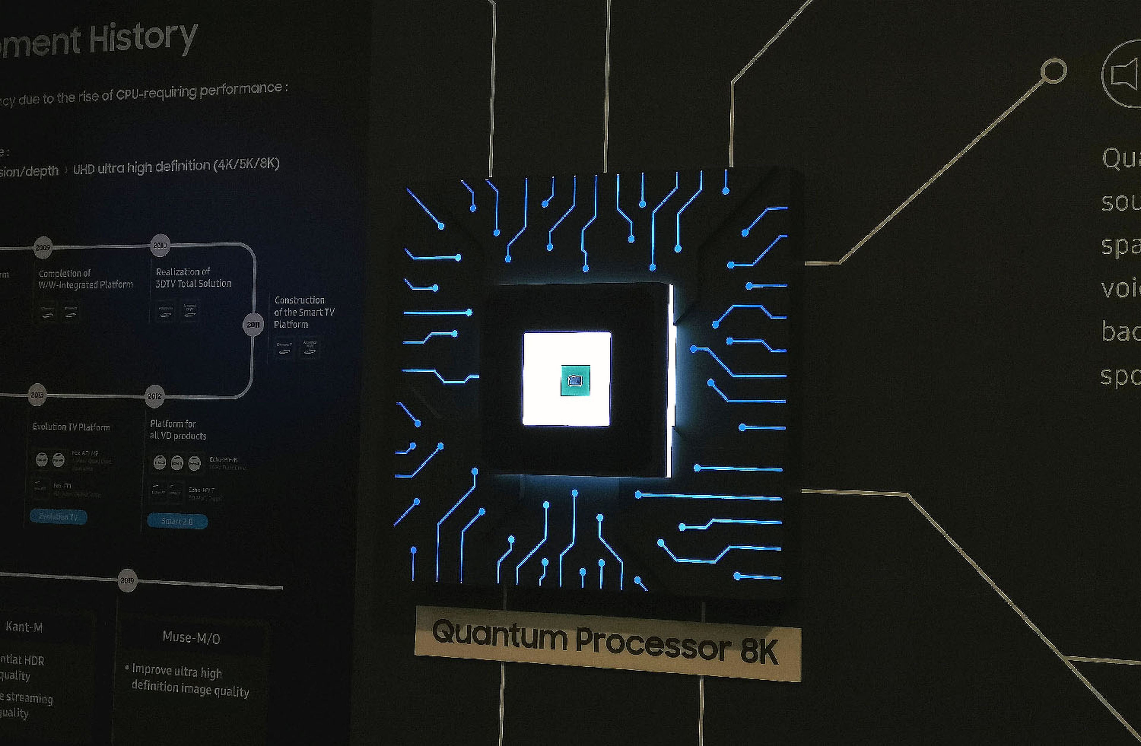 Quantum Processor