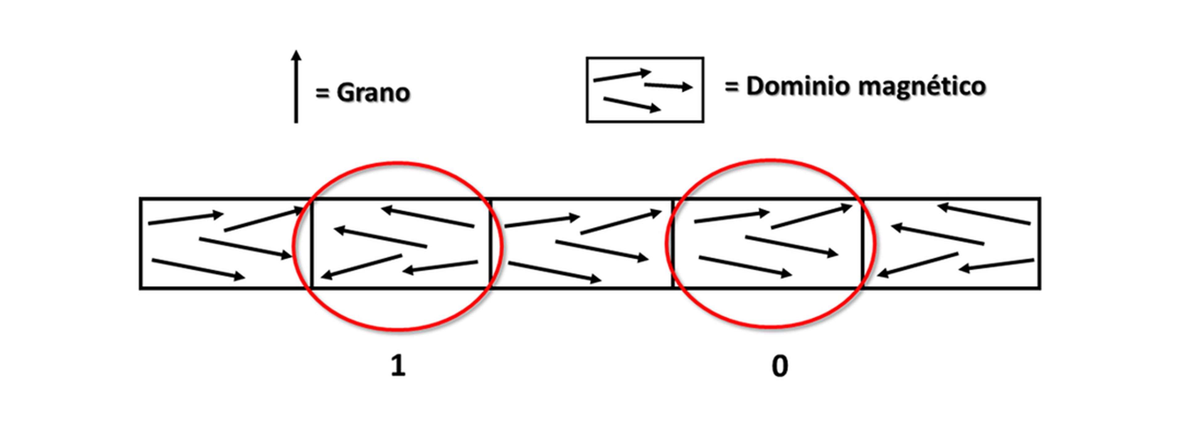 Cómo los granos se combinan para formar un dominio magnético con una u otra orientación.