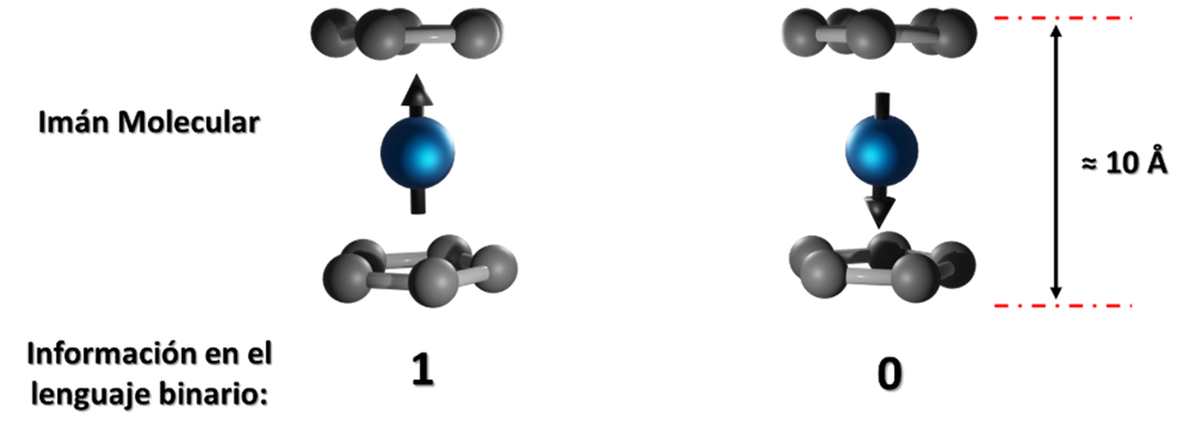 La orientación del imán molecular determina el valor 1 o 0.