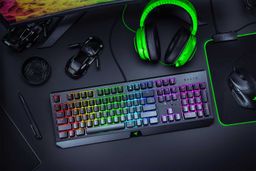 Razer Blackwidow (2019)