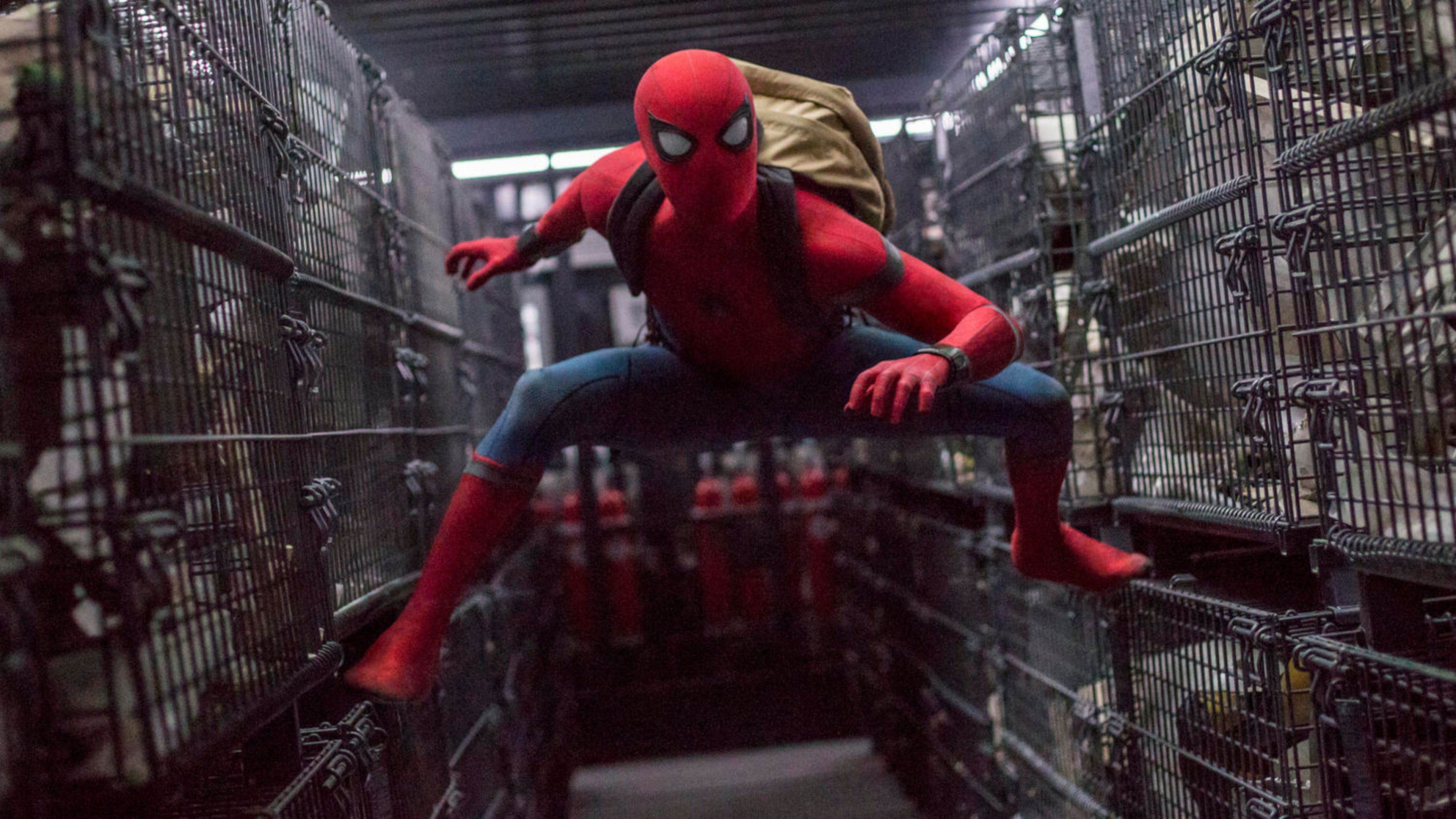 Endulzar Inactividad Eficiente Spider-Man vuelve a "casa": todas las películas del trepamuros que se  estrenan en Disney+ en los próximos días | Computer Hoy