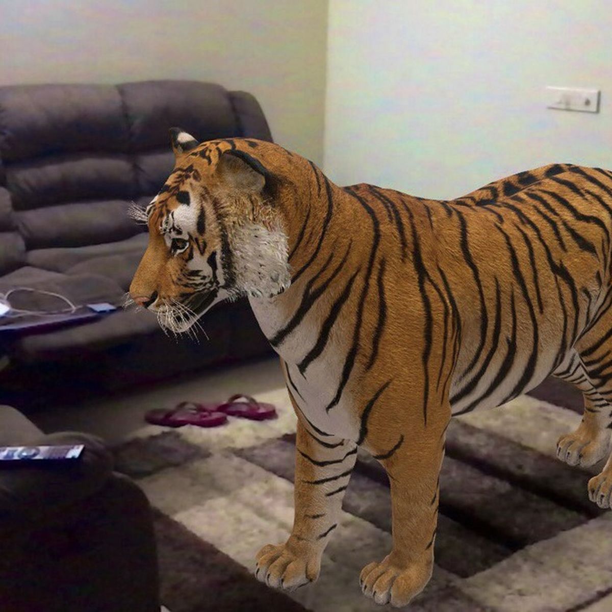 El truco de Google para ver un tiburón o un tigre en 3D en el salón de tu  casa