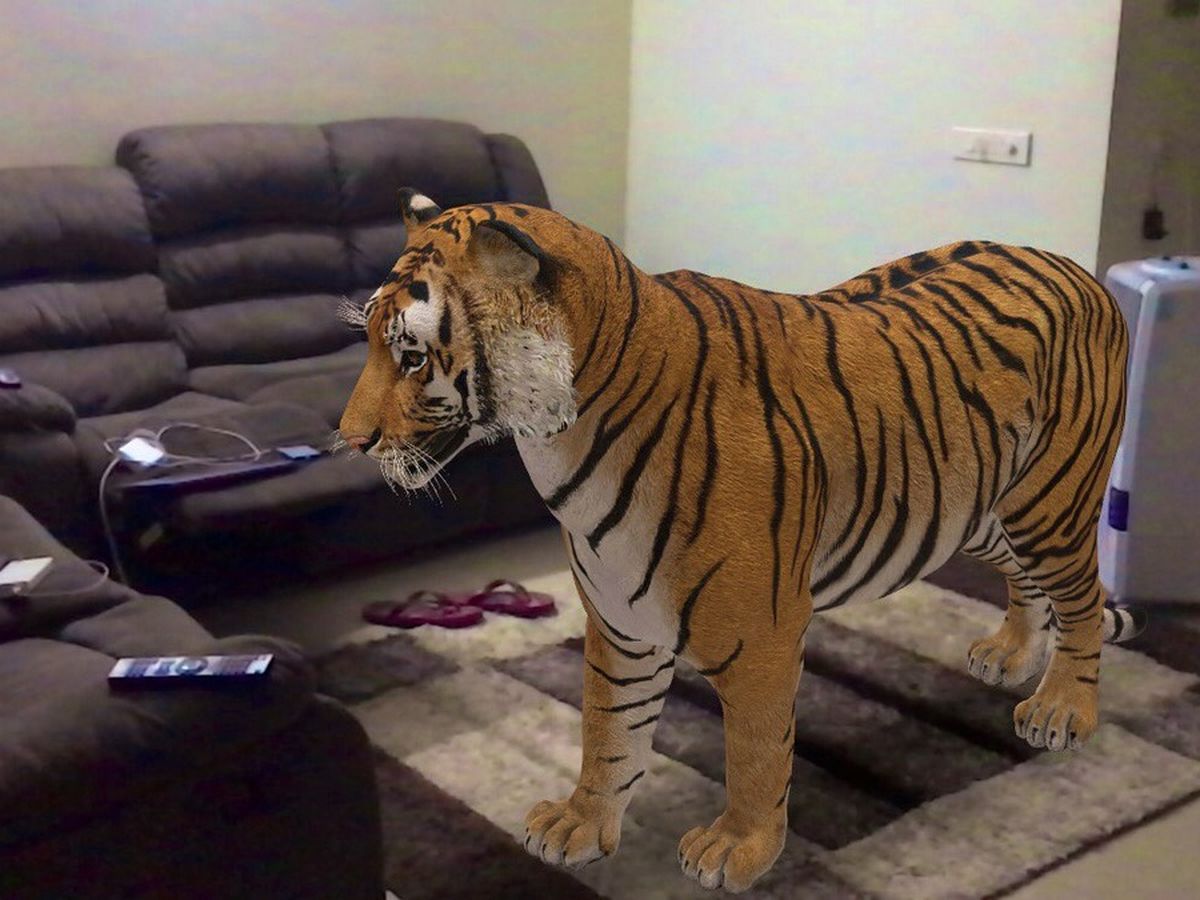Cómo activar la realidad aumentada de Google para ver un tigre y