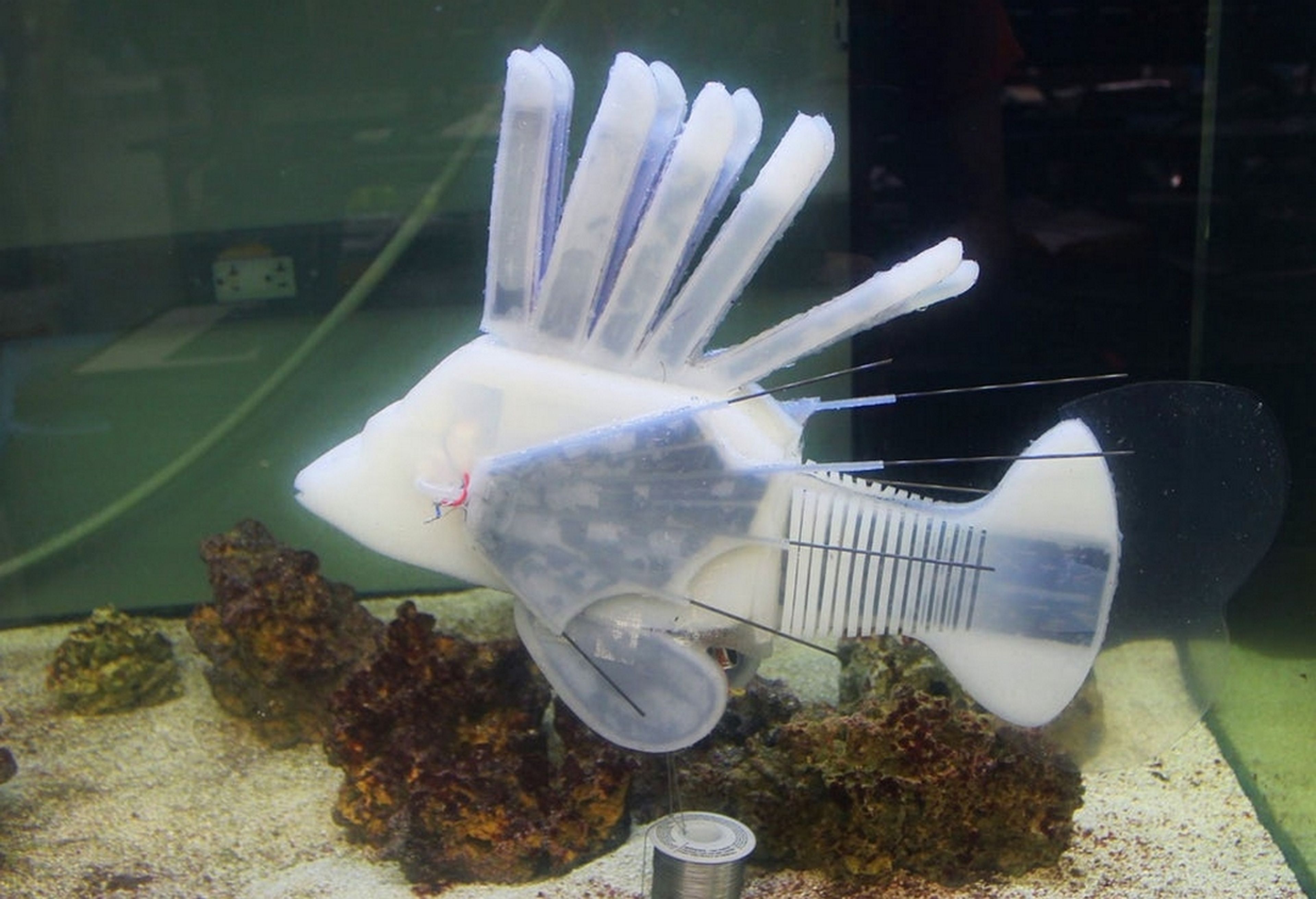 Un pez robot de silicona usa "sangre eléctrica" para moverse