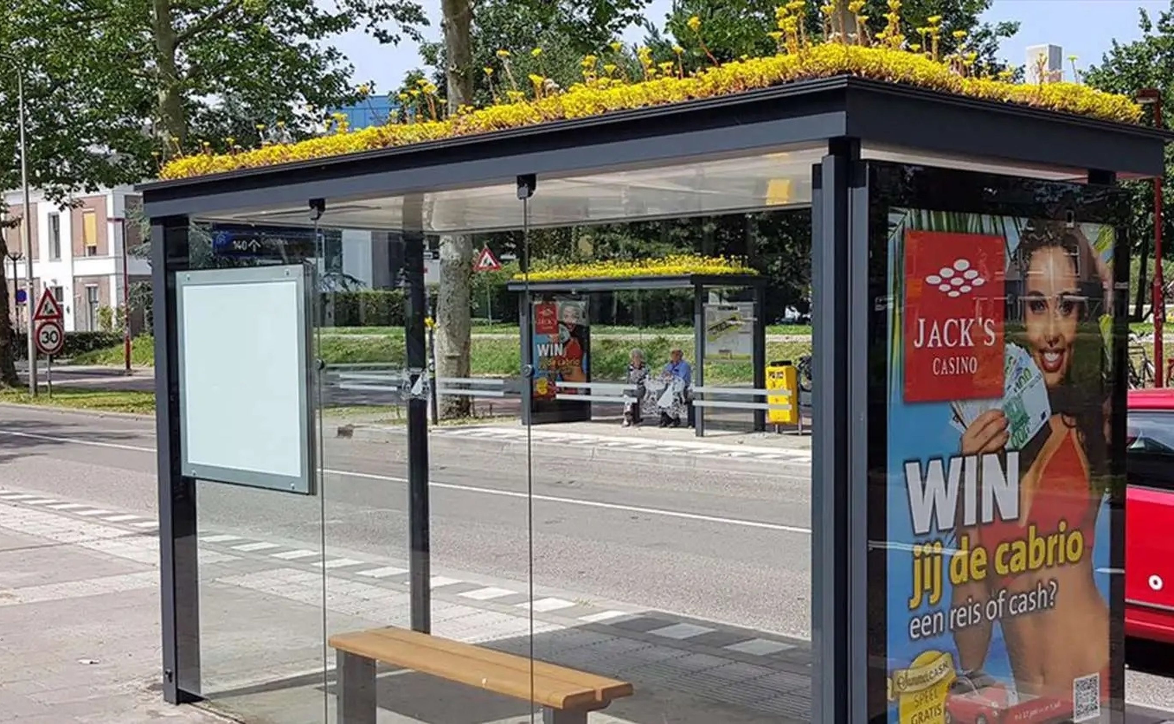 Cientos de paradas de autobús cubiertas con plantas, para ayudar a las abejas