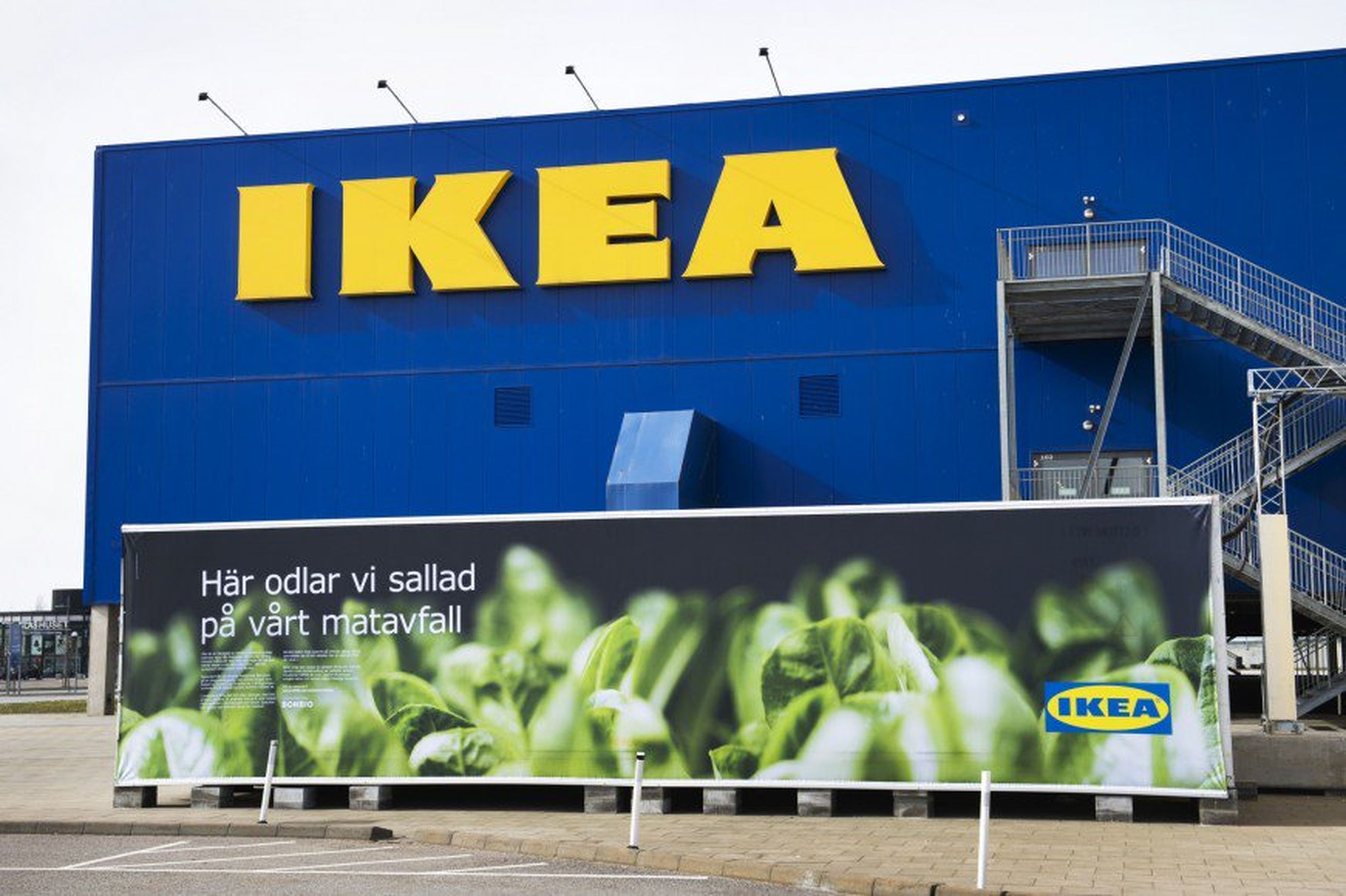 Ikea cultivo de lechugas
