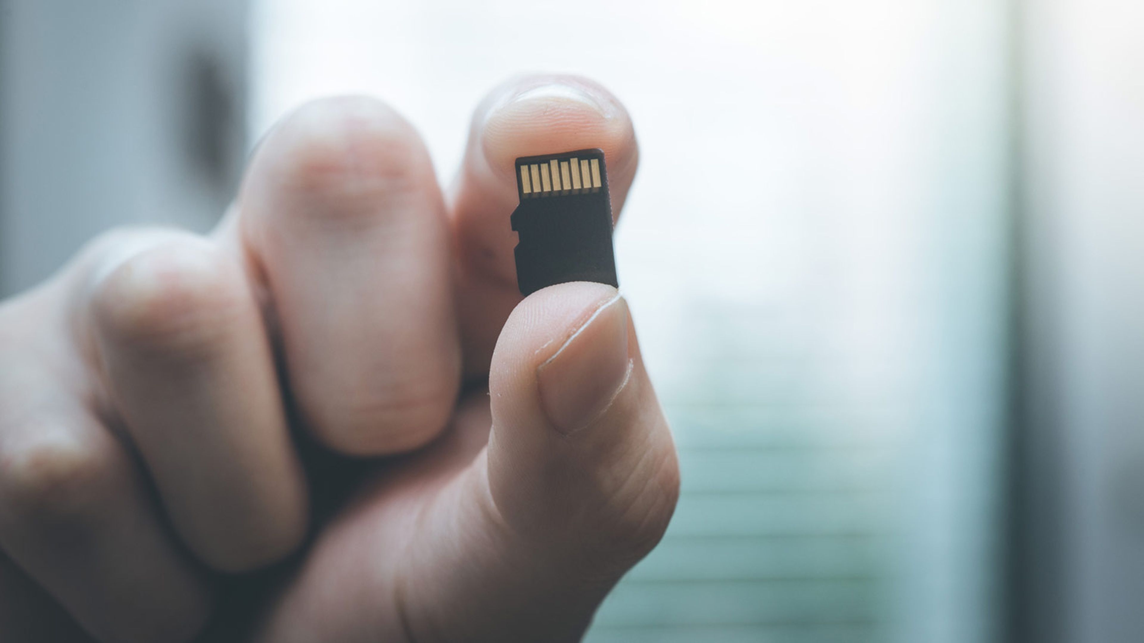 sugerir estafador Abolladura Mi ordenador no reconoce mi tarjeta microSD | Computer Hoy