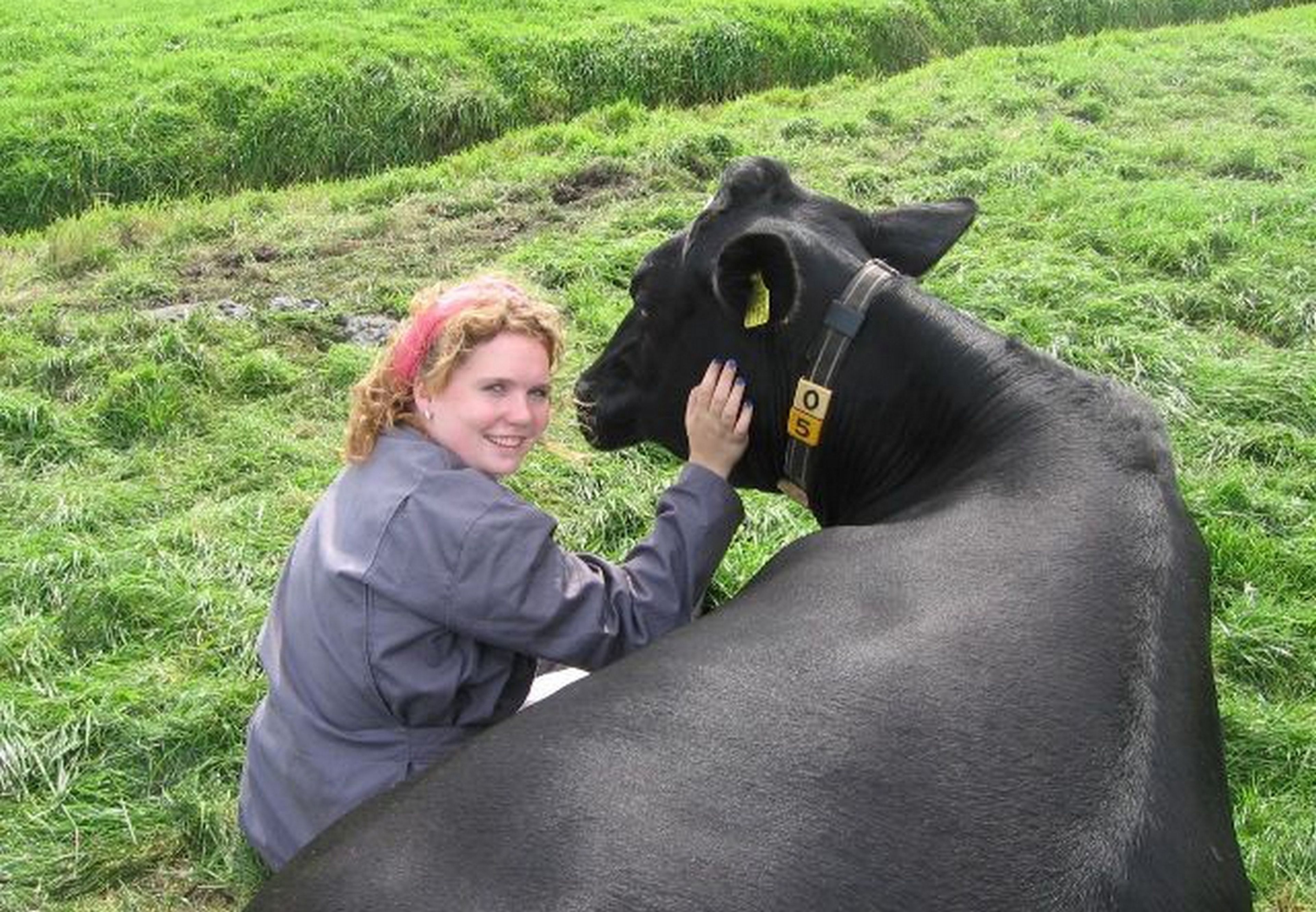 Abrazar vacas como terapia antiestrés