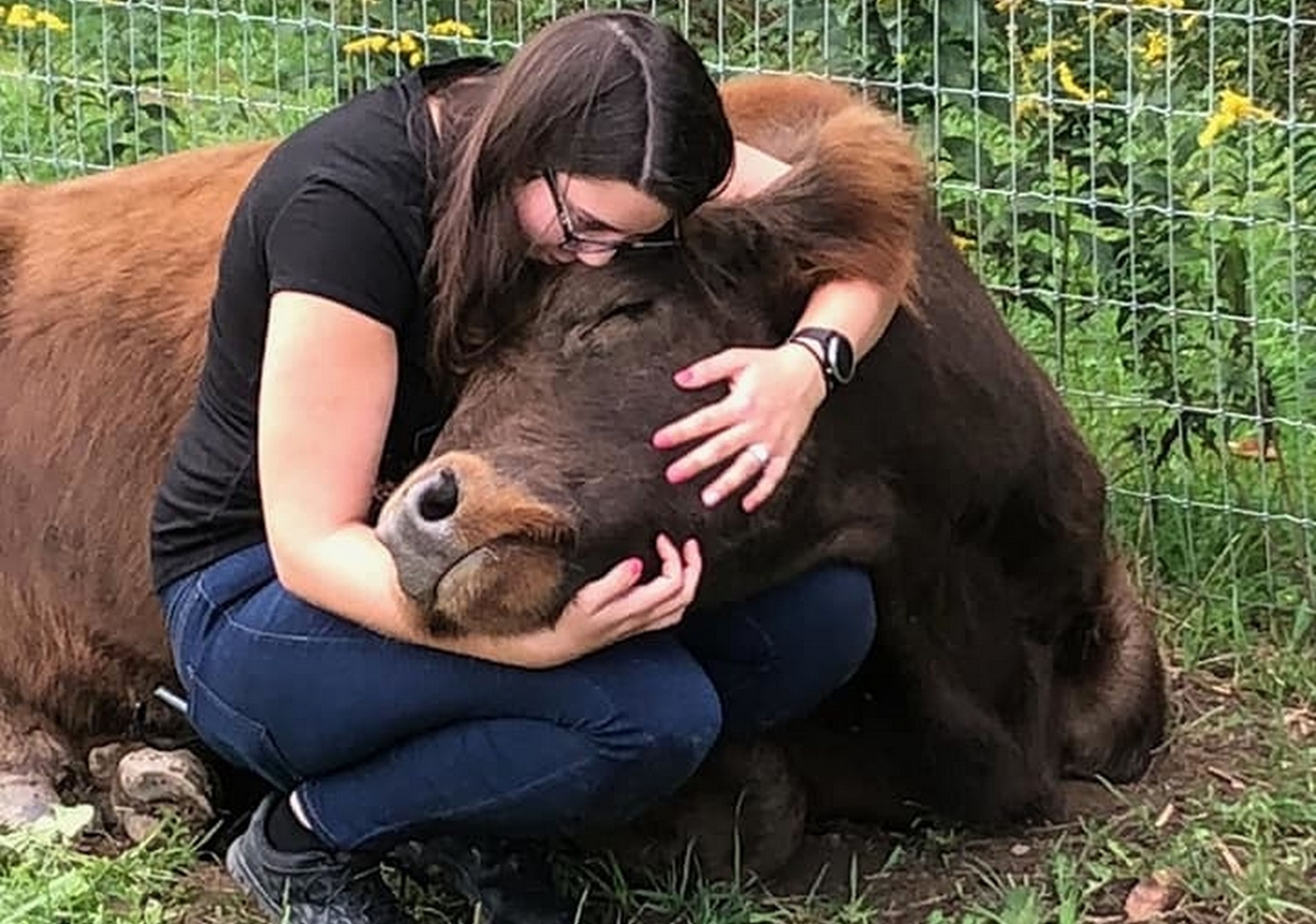 Abrazar vacas: lo último en terapias para reducir el estrés