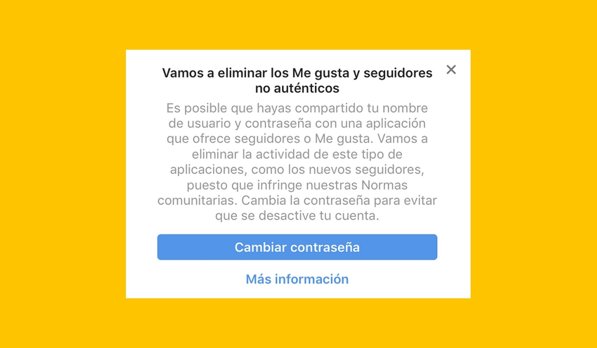 Qué son los bots de Instagram, cómo usarlos y a qué riesgos te enfrentas