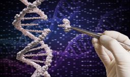 Qué es CRISPR, el corta y pega genético que cura enfermedades