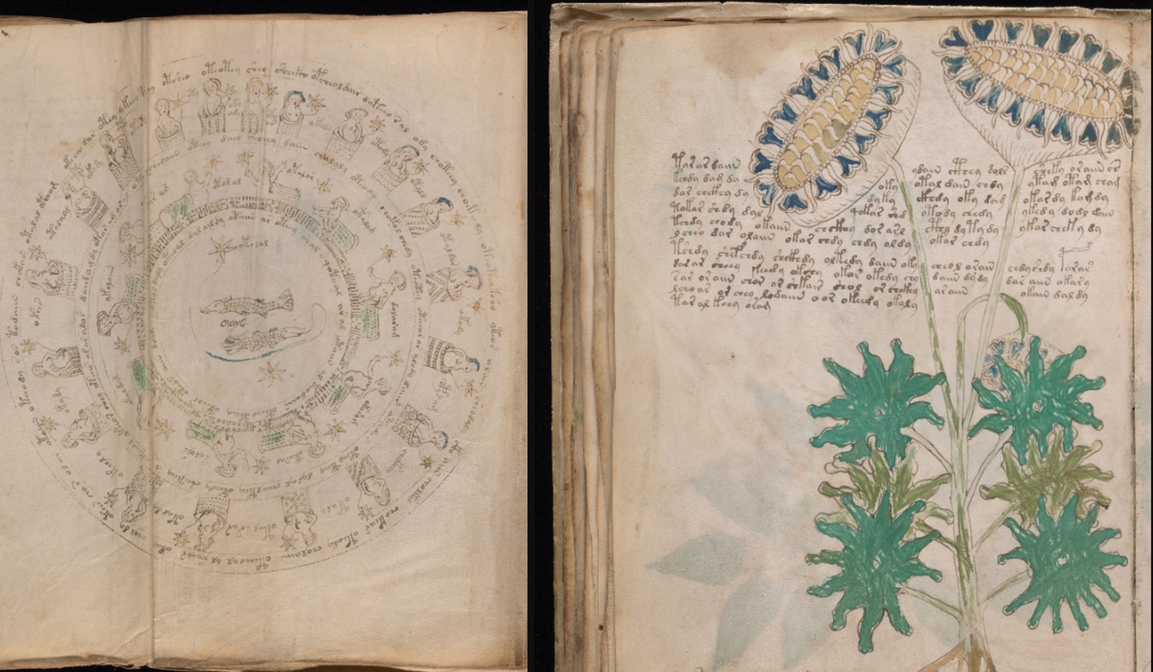 La Inteligencia Artificial tampoco es capaz de descifrar el Manuscrito Voynich