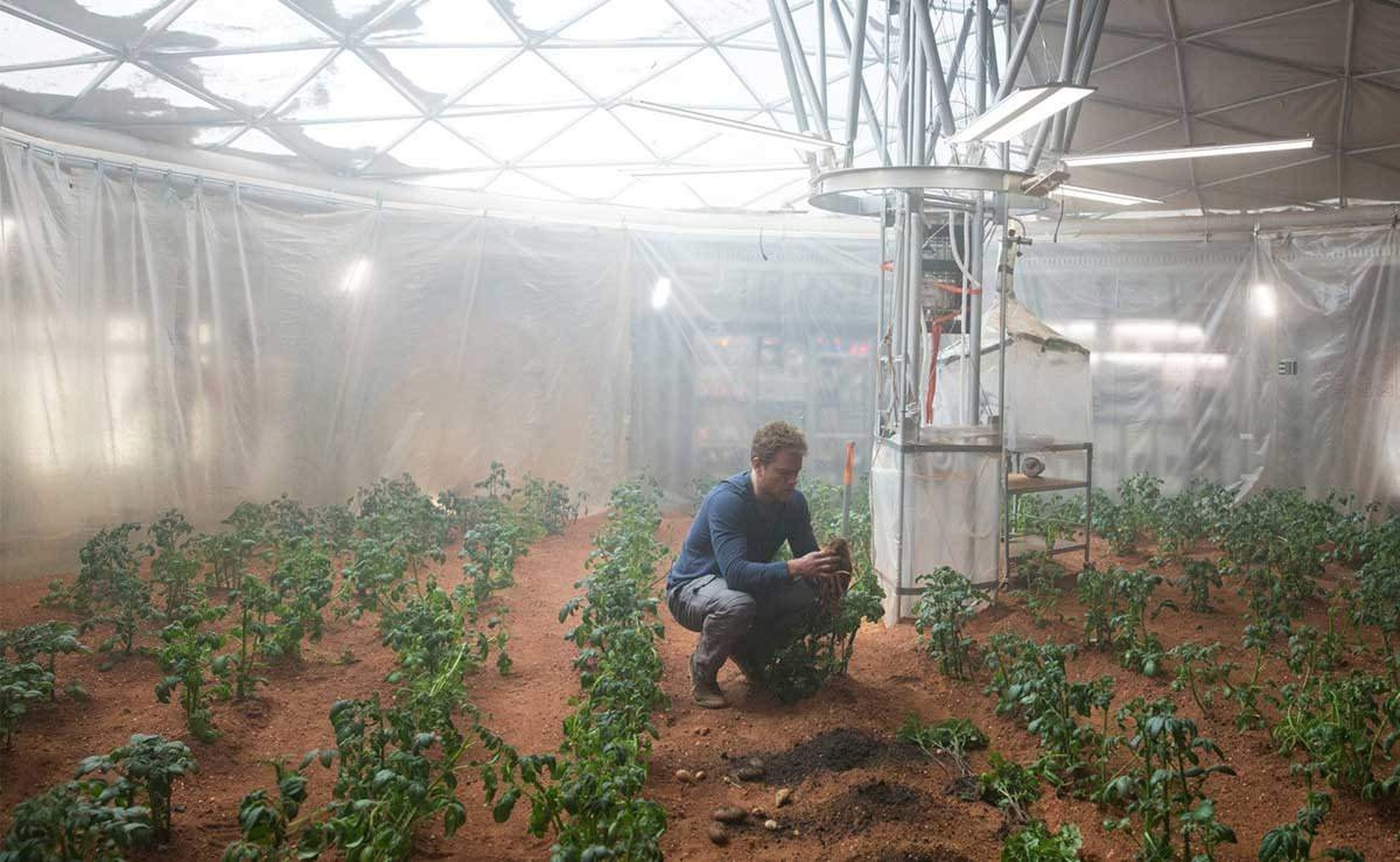 Cultivo de plantas en Marte