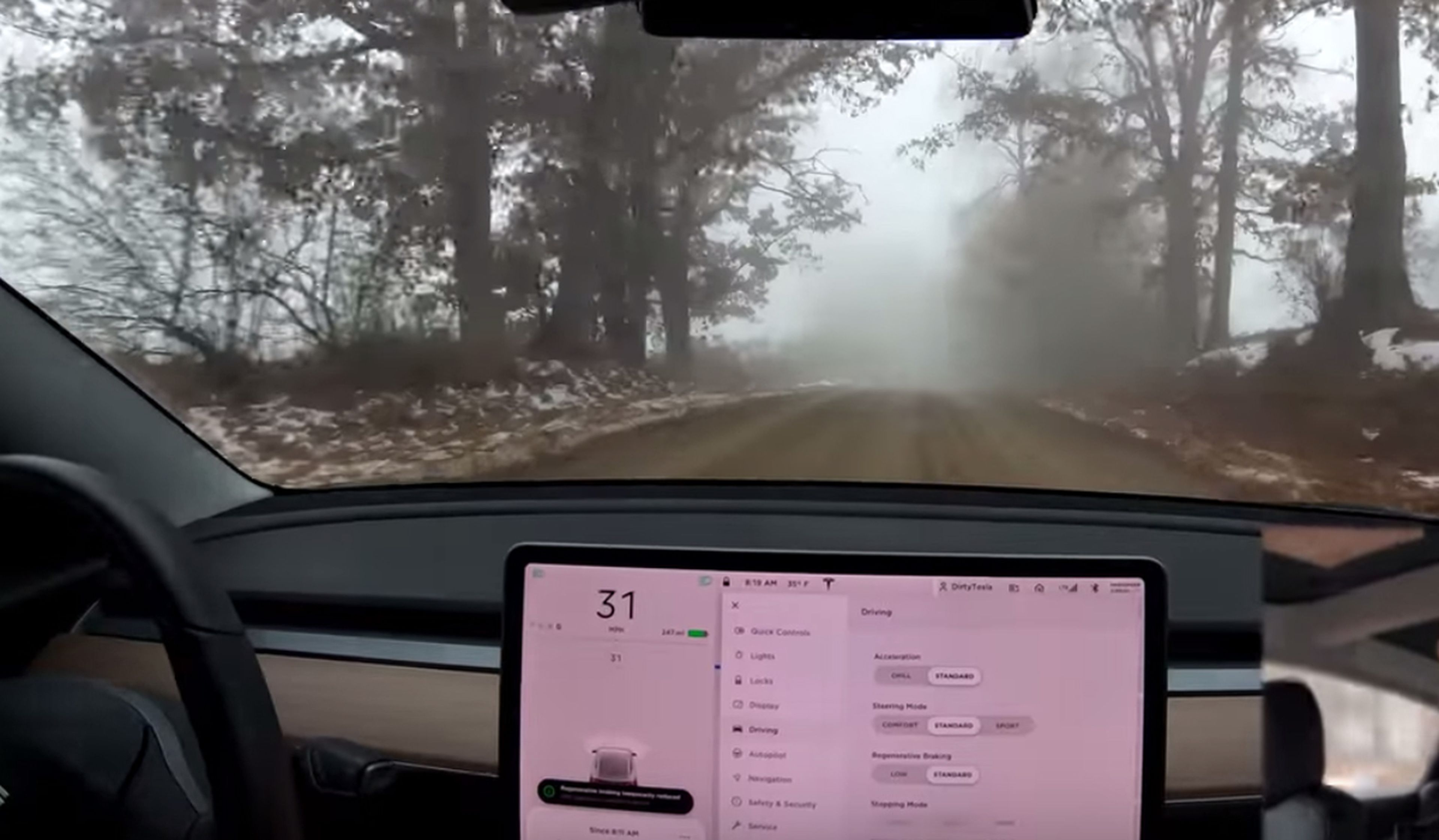 Tesla Model 3 niebla