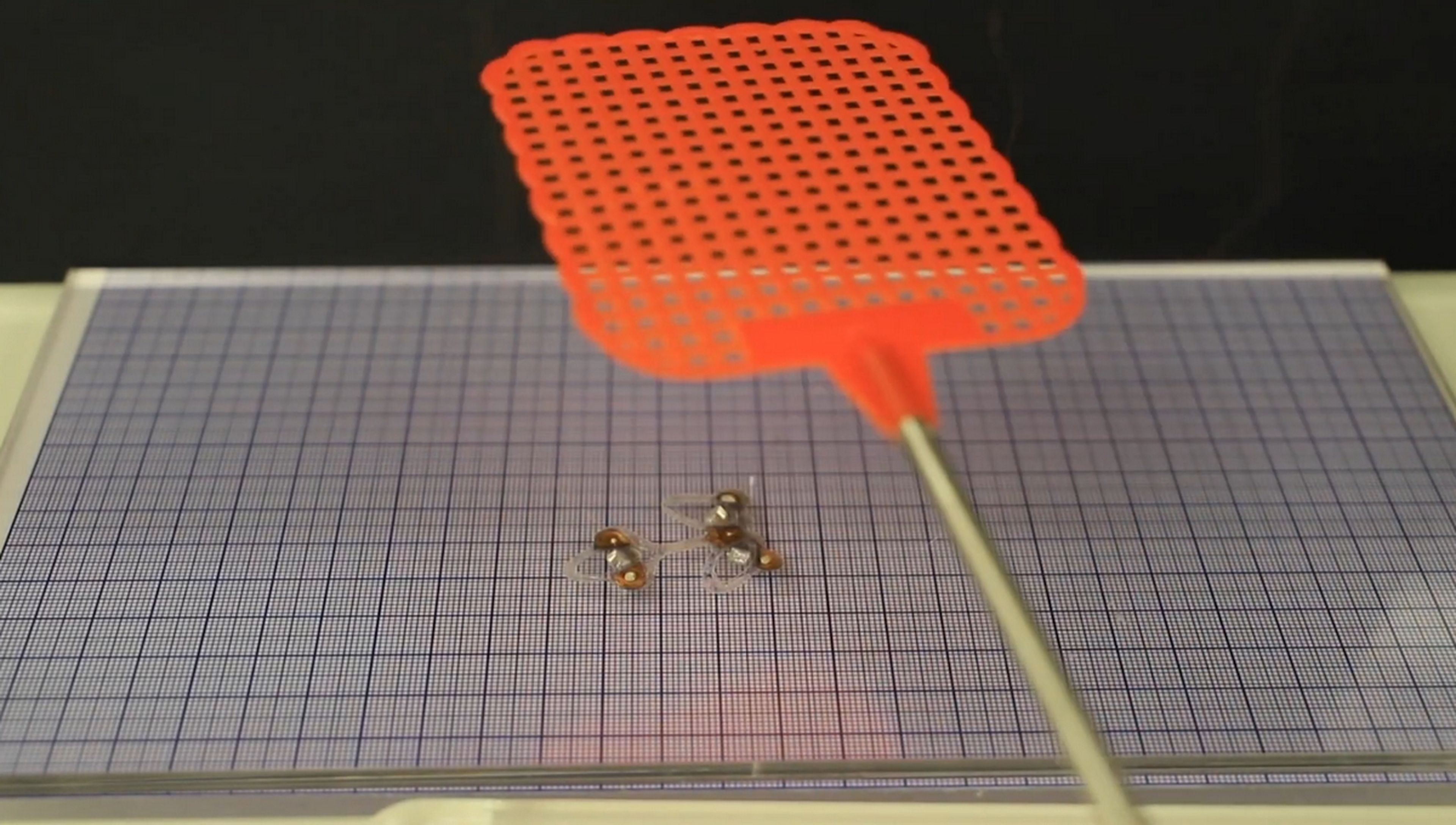 Estos robots insecto con músculos artificiales aguantan los ataques de un matamoscas