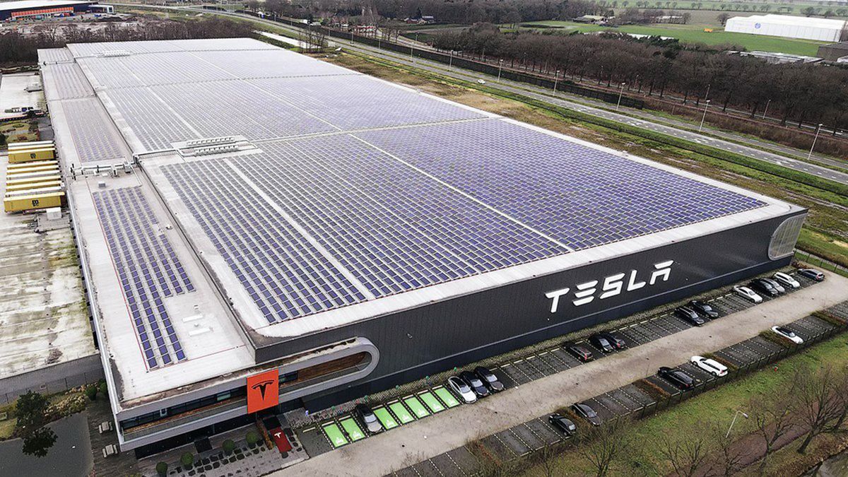 La Nueva Gigafactory De Tesla En Berlín Estará Construida Sobre Un Bosque Con Posible Presencia 4175