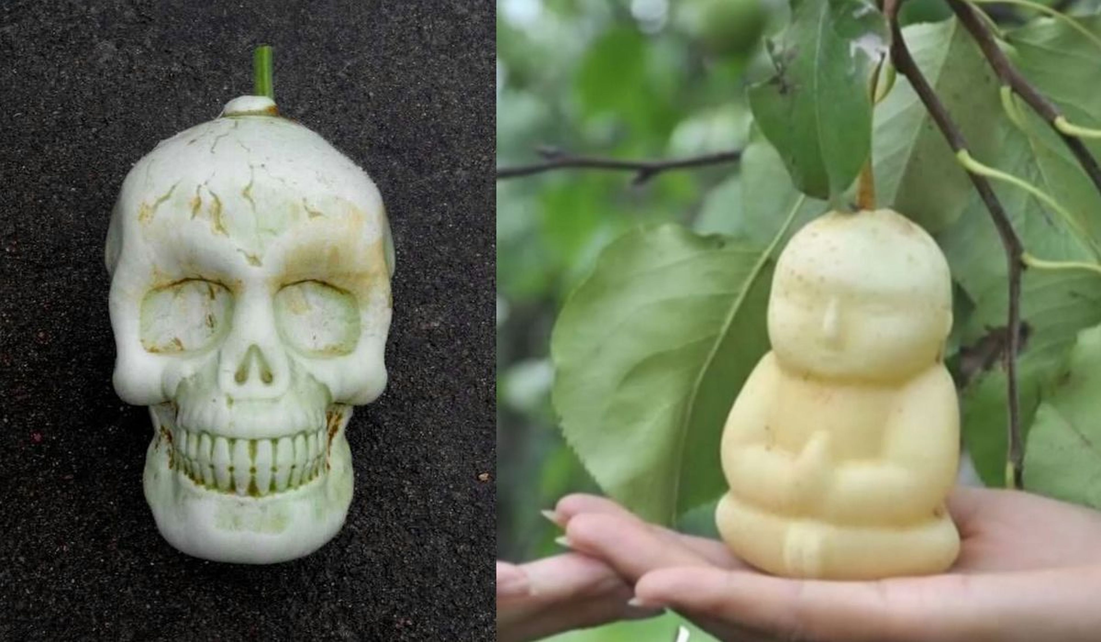 Frutas con formas humanas y manzanas cuadradas, así se consiguen