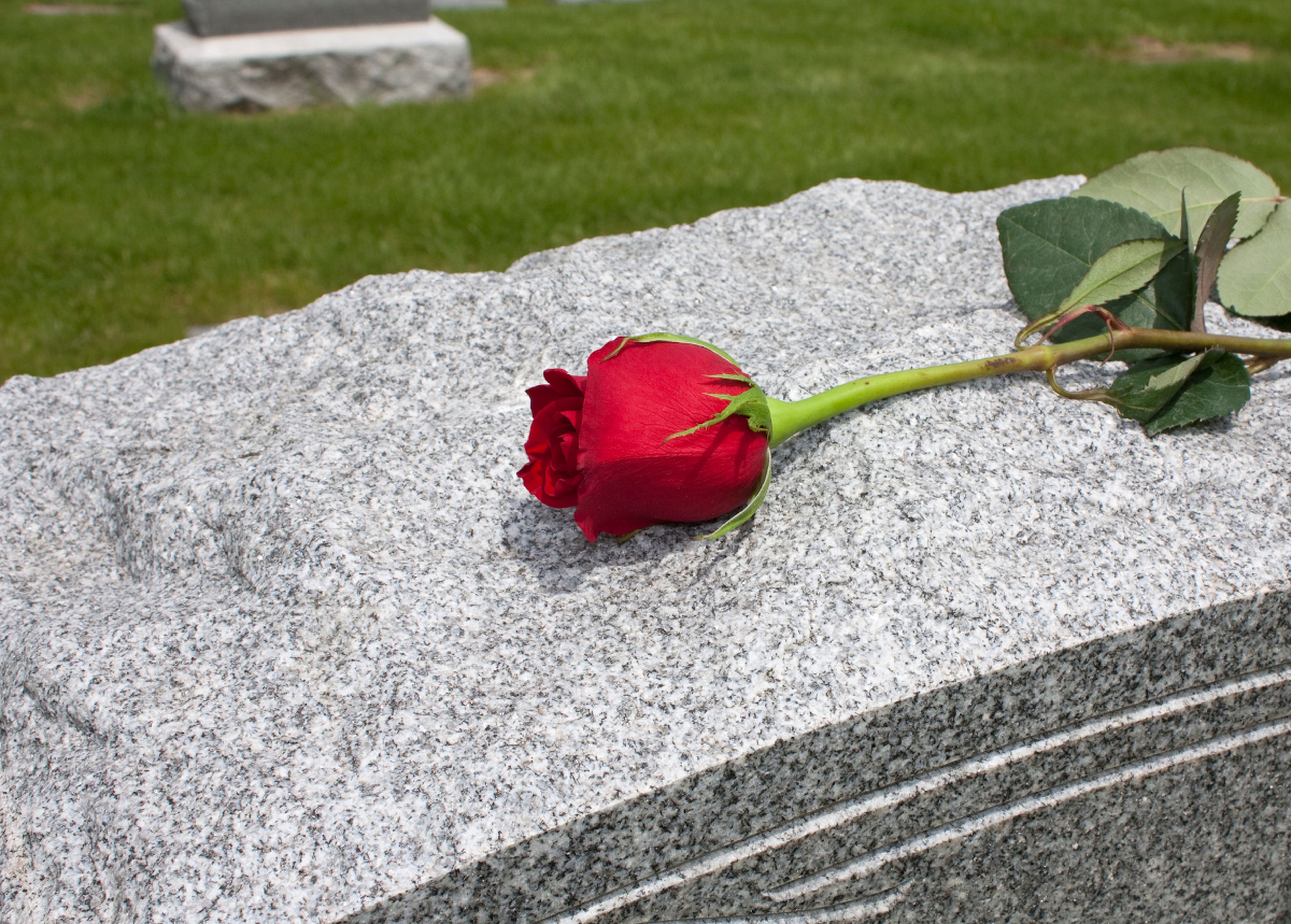Устал роз. Цветы на могилу. Цветочки на могилку. Живые цветы на могиле. Кладет цветы на могилу.