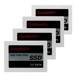 Goldenfir SSD