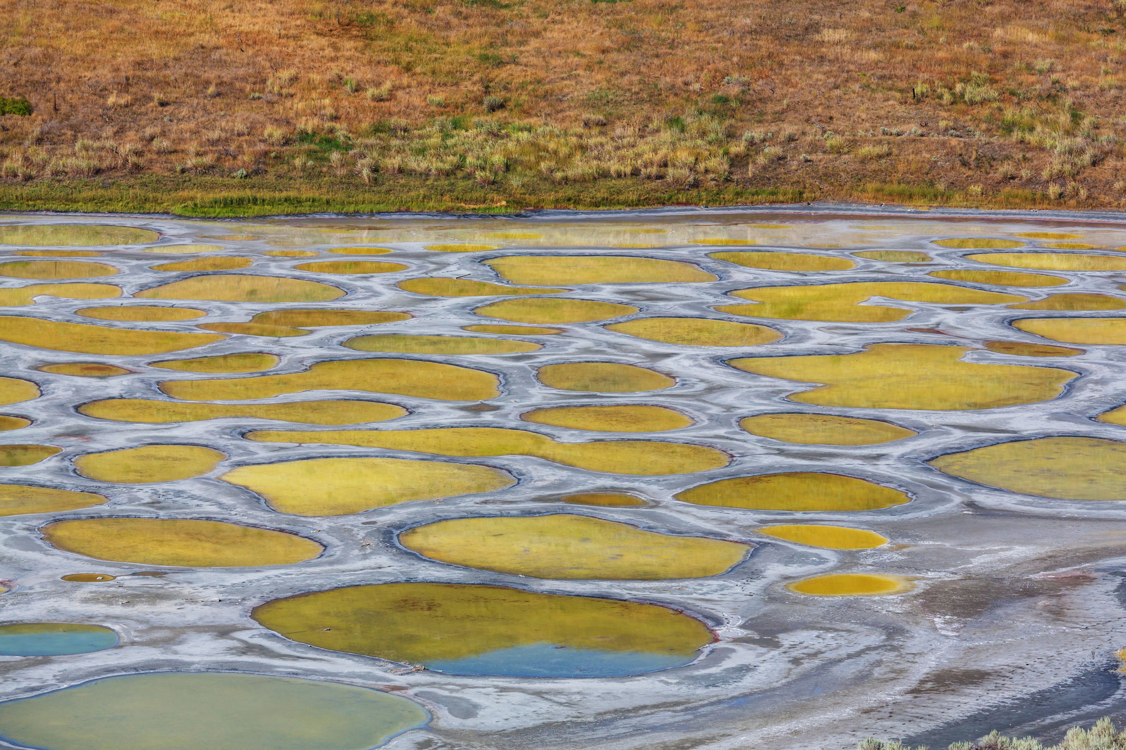 Spotted Lake en Canadá