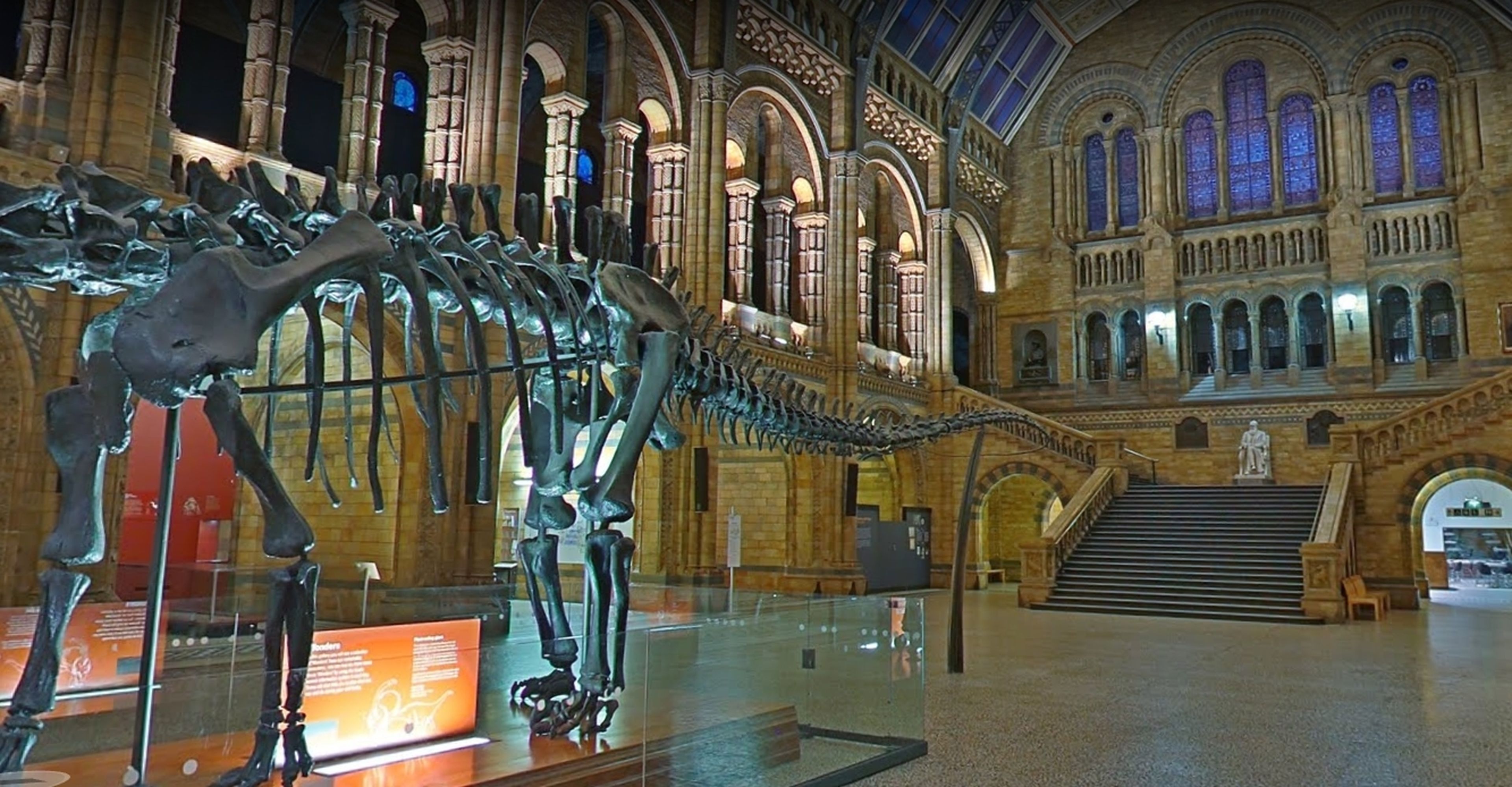 Fósil de dinosaurio en The Natural History Museum