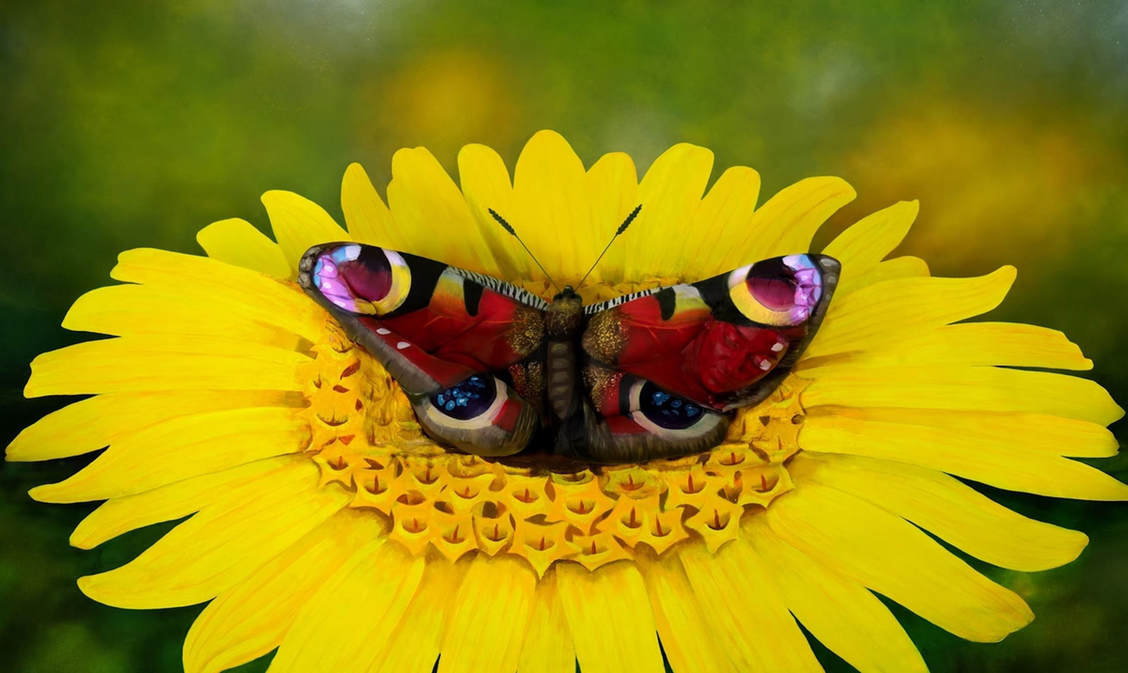 Las ilusiones ópticas de Johannes Stötter: esto no es una mariposa