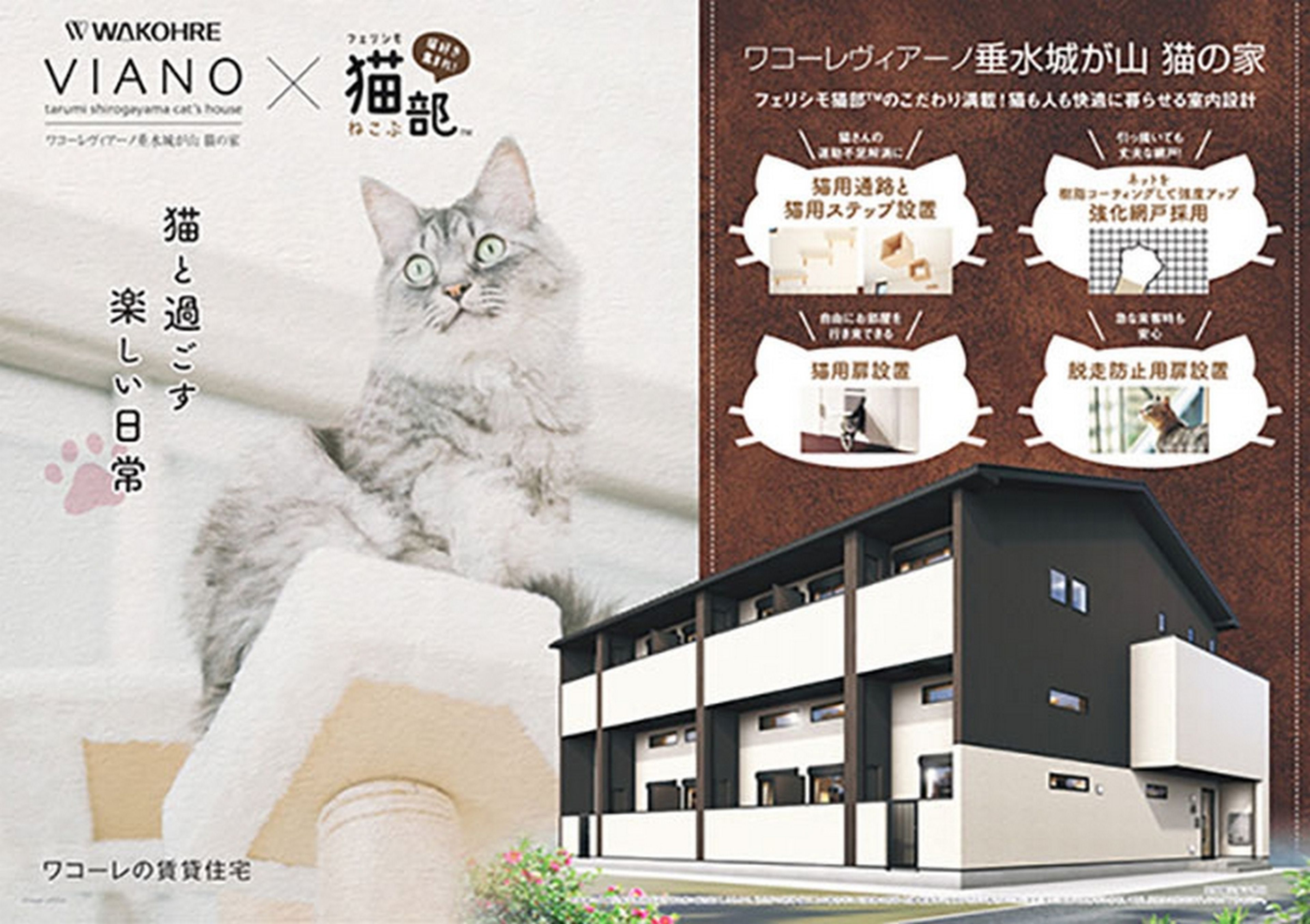 En Japón alquilan pisos para gatos que viven con personas solteras