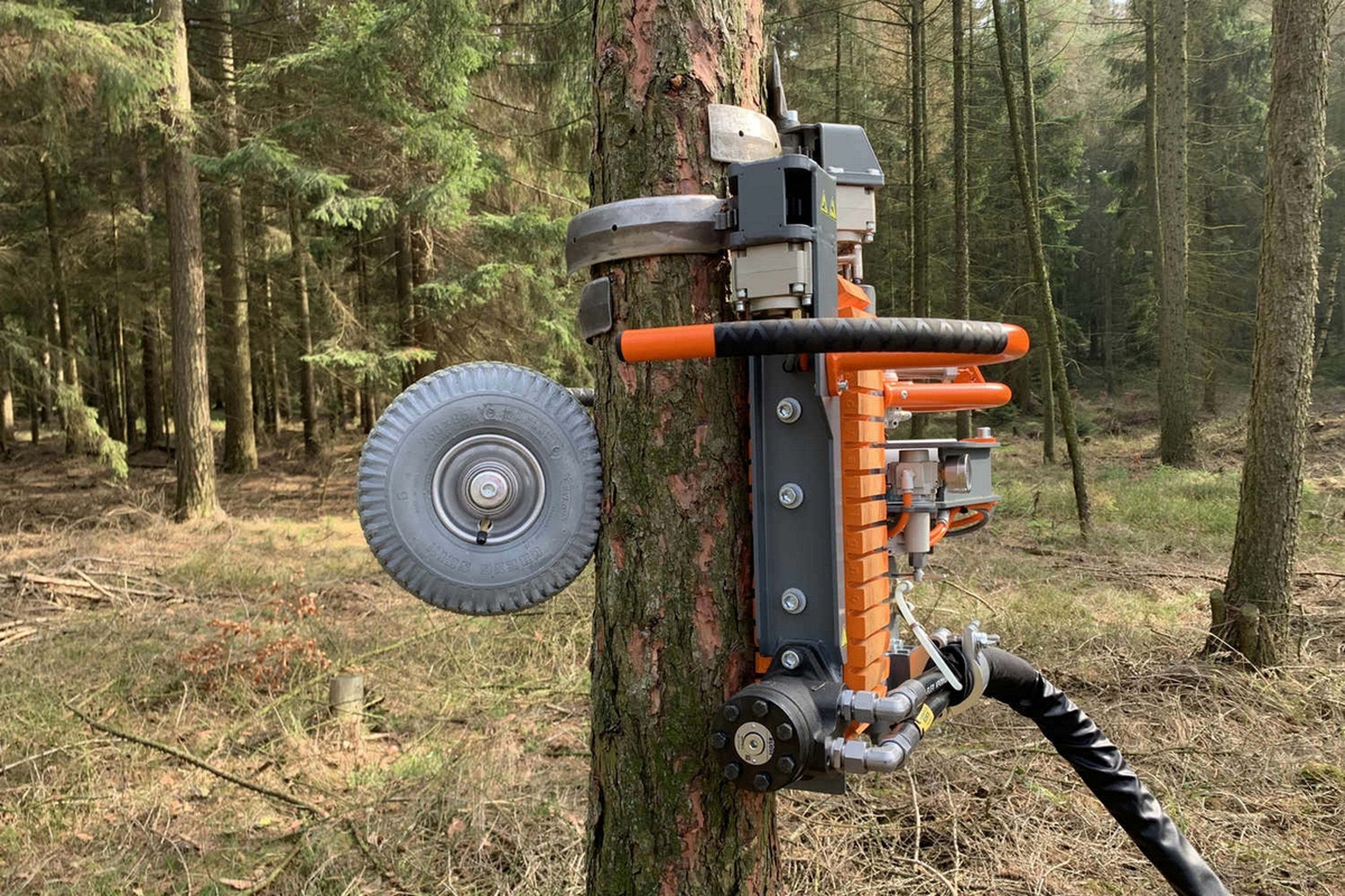 Advaligno PATAS, el robot que escala árboles para podar las ramas