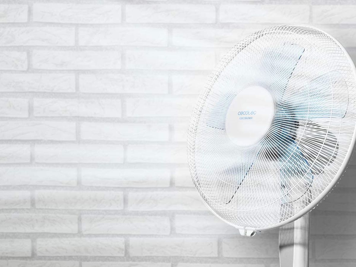 Este ventilador Cecotec es perfecto para el verano y cuesta menos de 20  euros