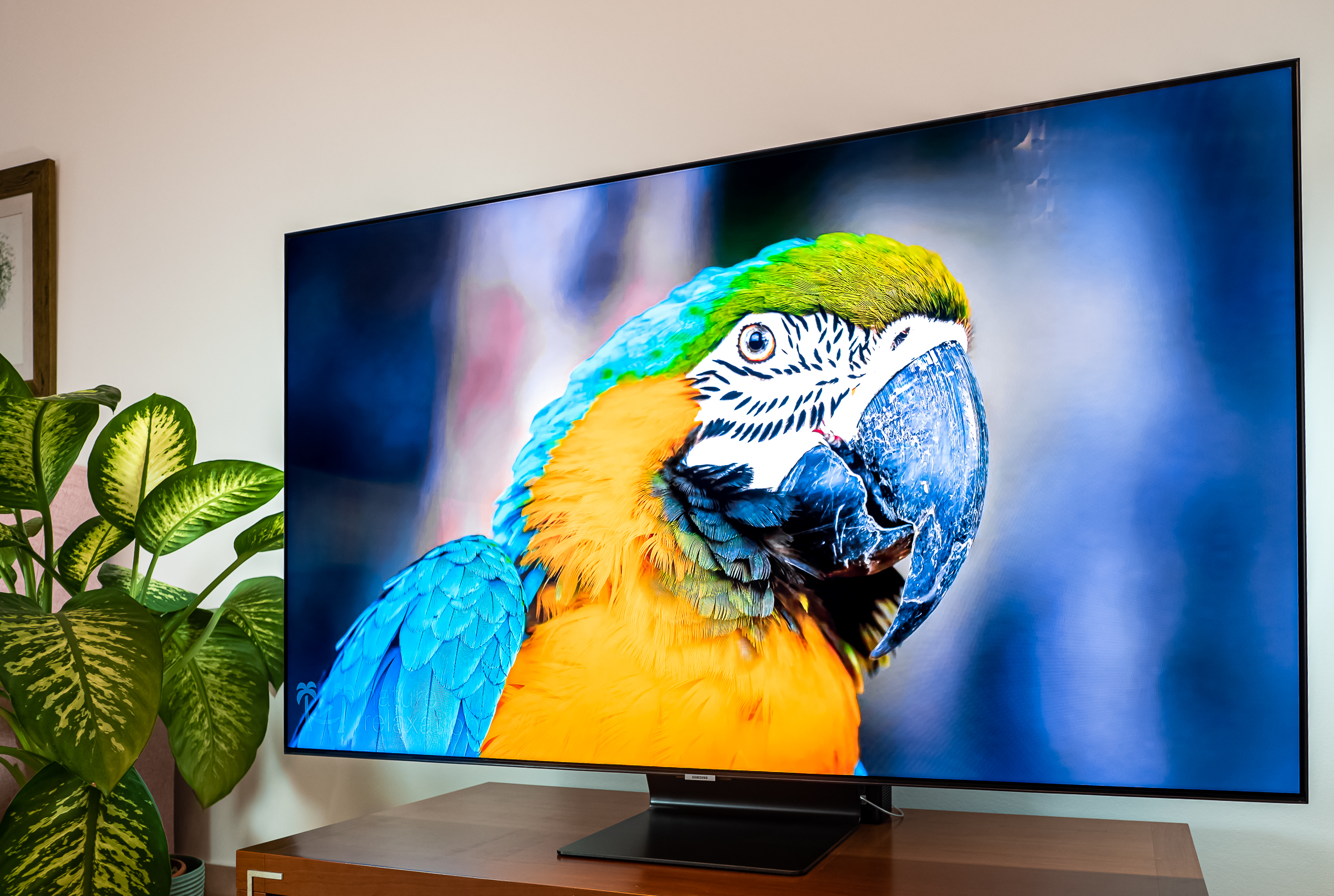 Oraako claro de la televisión más barata la vivienda de 22 pulgadas LCD LED  pantalla OLED de OEM televisor inteligente 21.5 Pouces Panel transparente  claro tv - China TV Transparente y transparente