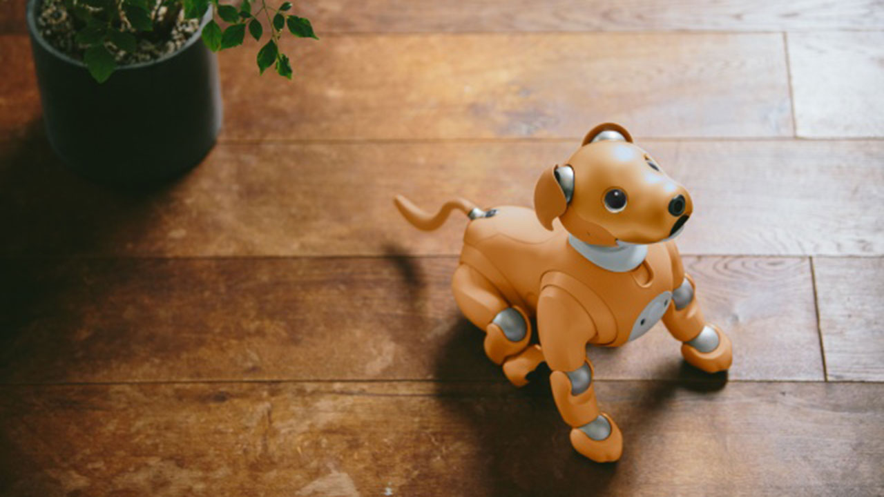 Aibo, el perro robot de Sony vuelve con IA y conexión a Internet