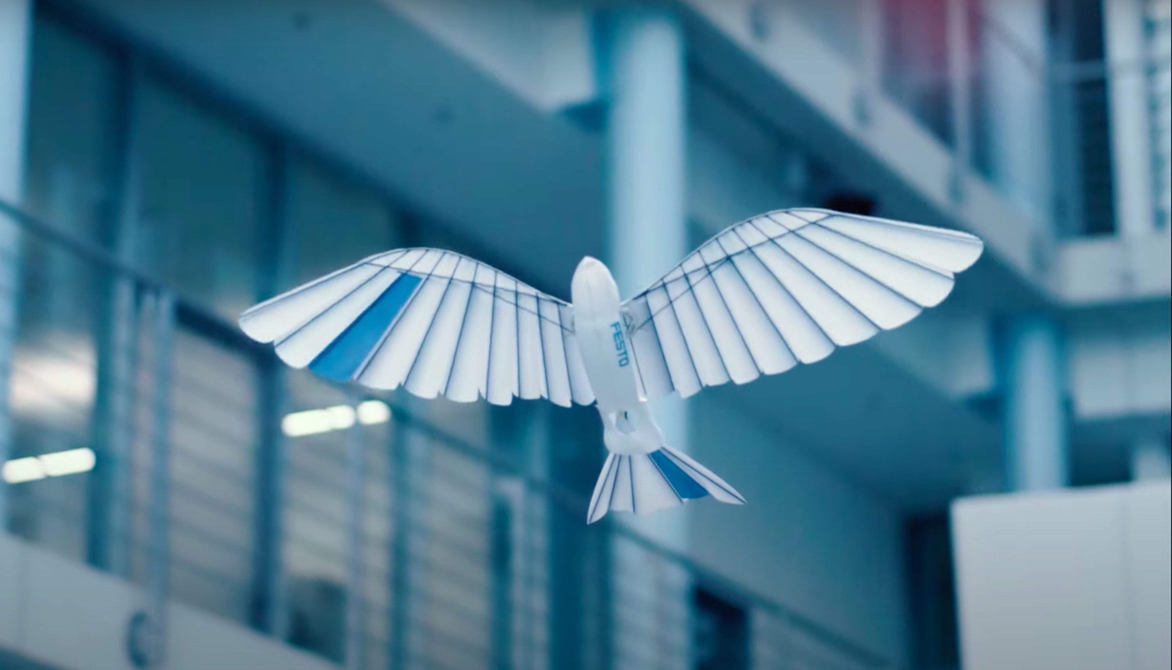 Pájaro biónico BionicSwift