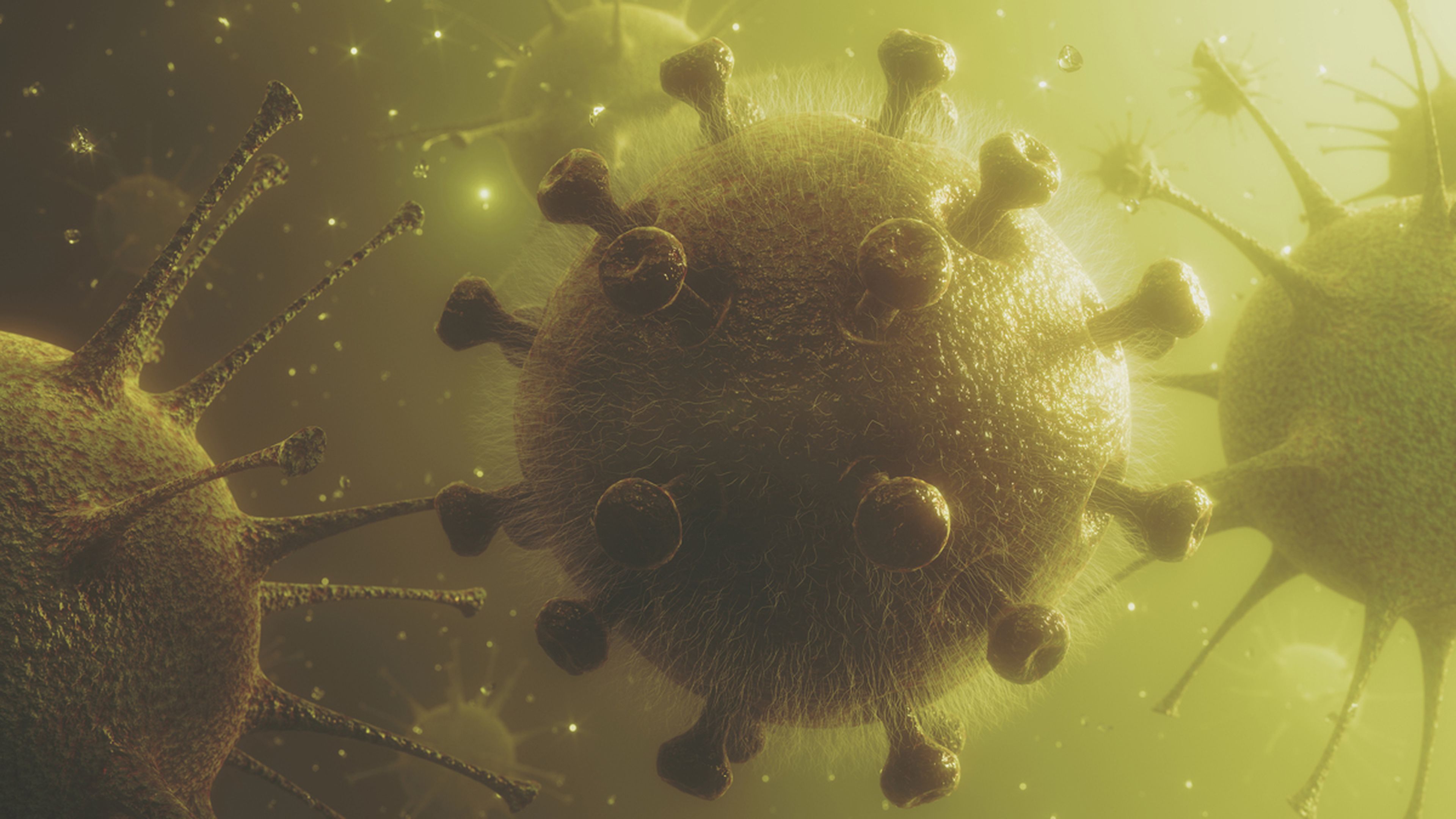 Virus del coronavirus