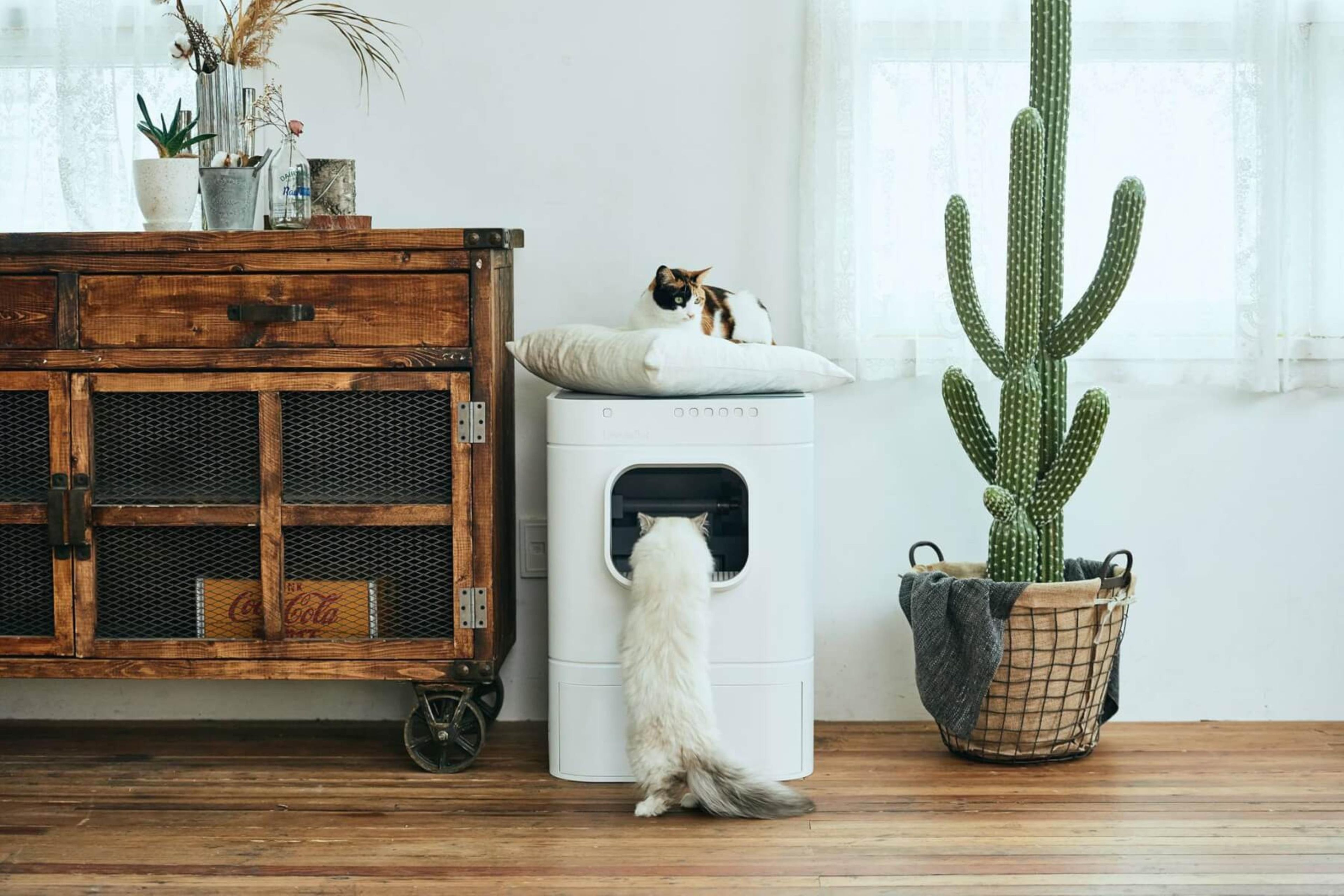 La siguiente revolución para tus gatos es este arenero automático e  inteligente: conoce ChouBox
